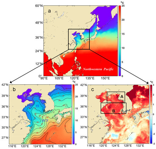An Extreme Marine Heatwave Event in the Yellow Sea during Winter