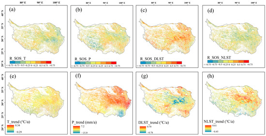 Response of Vegetation Phenology to Climate Change on the