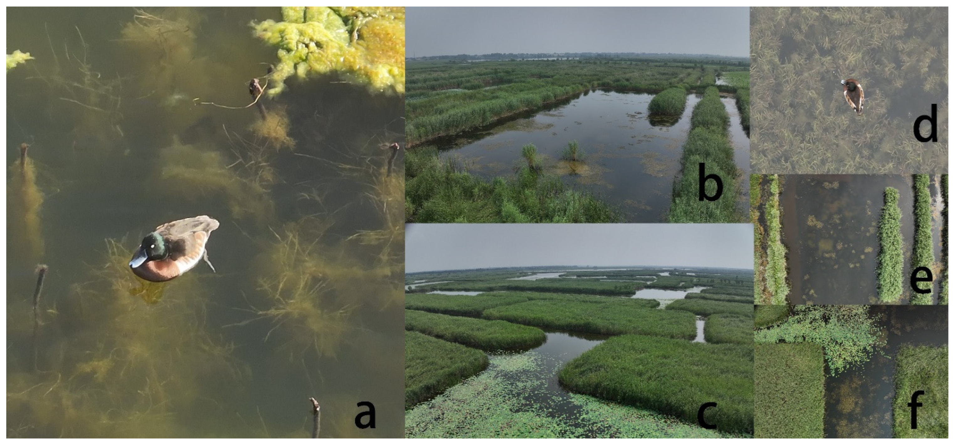 Remotesensing 16 00064 g007