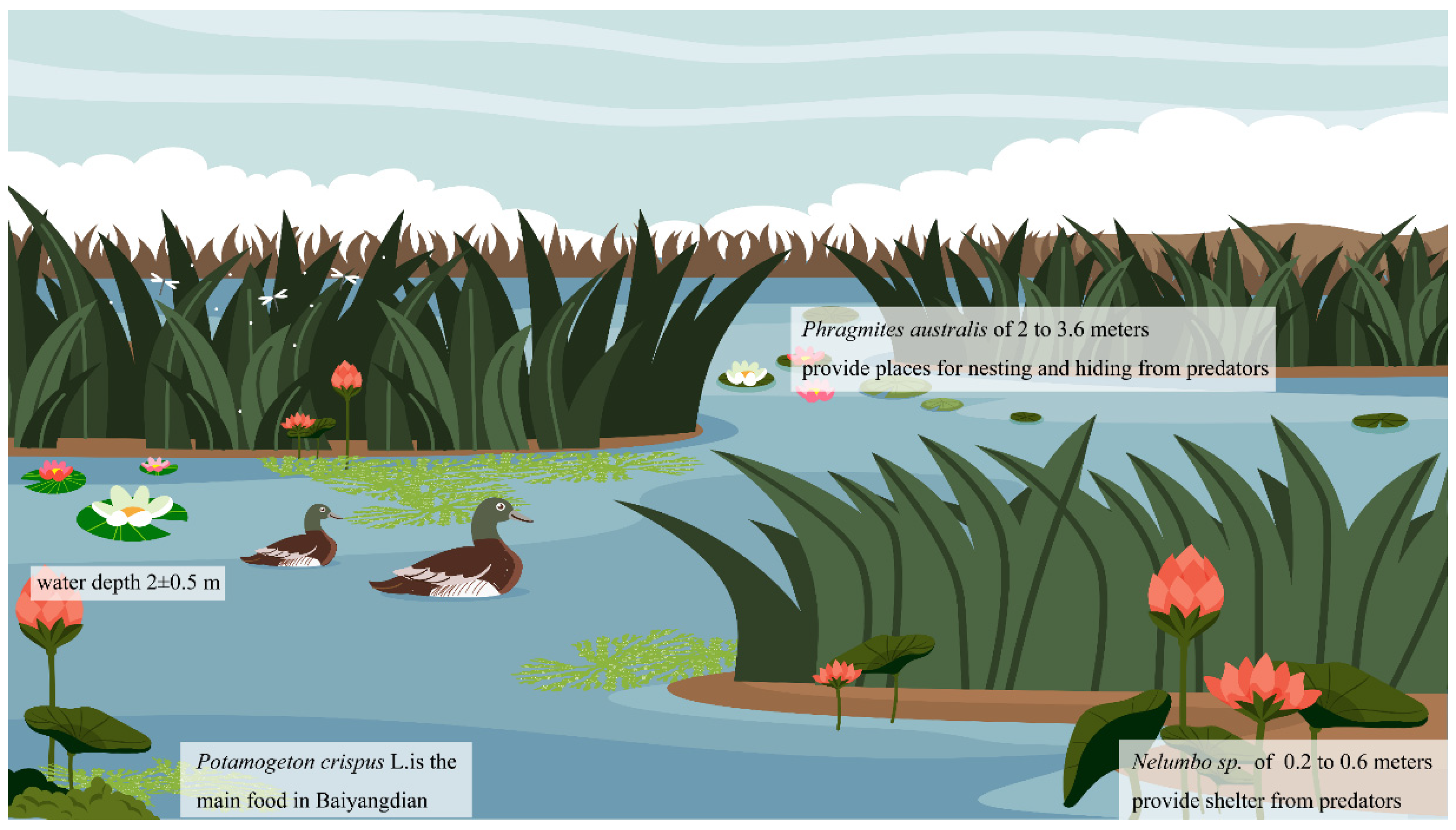 Remotesensing 16 00064 g008