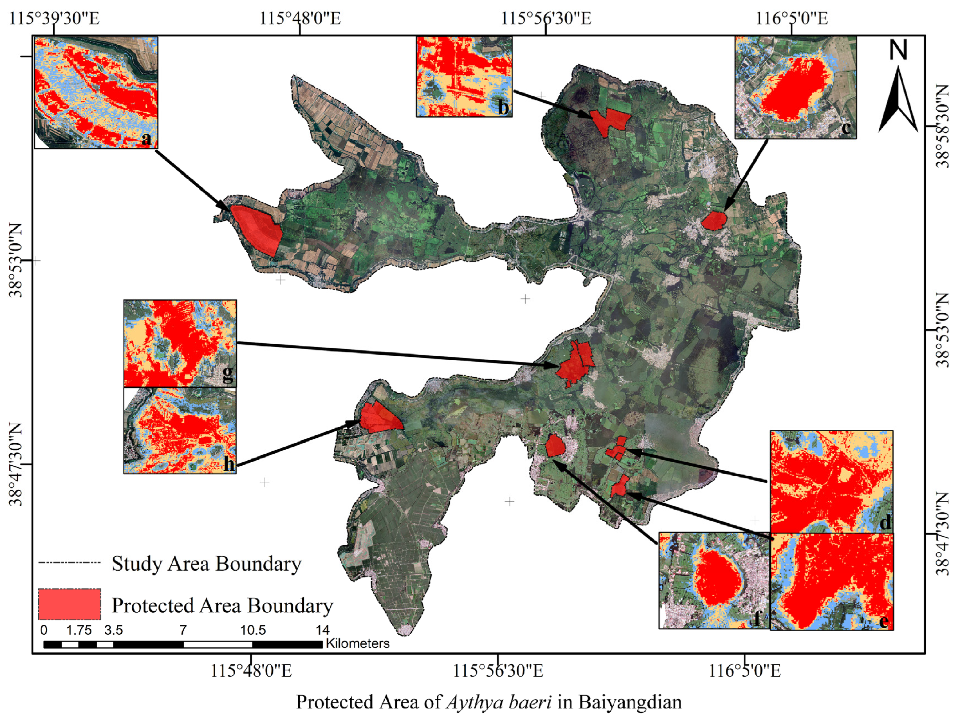 Remotesensing 16 00064 g009