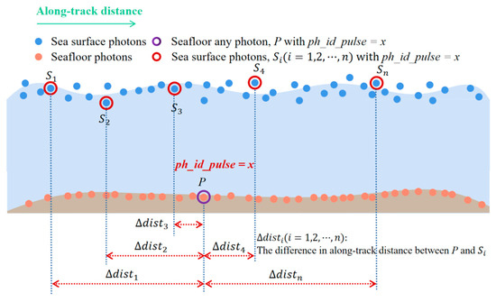 The Relationship of Lake Morphometry and Phosphorus Dynamics
