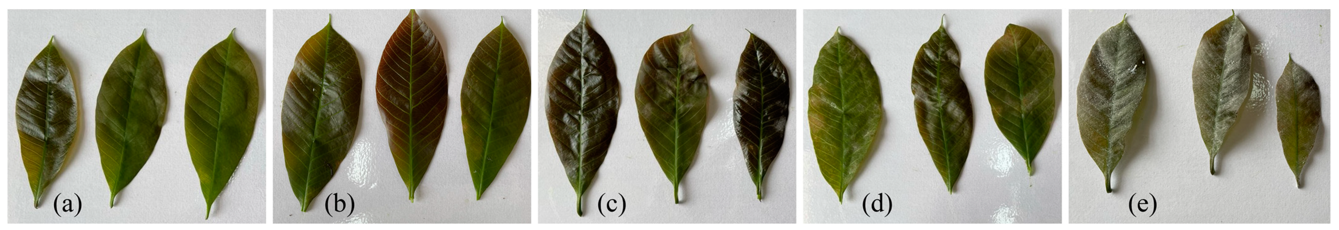 Remotesensing 16 00105 g001