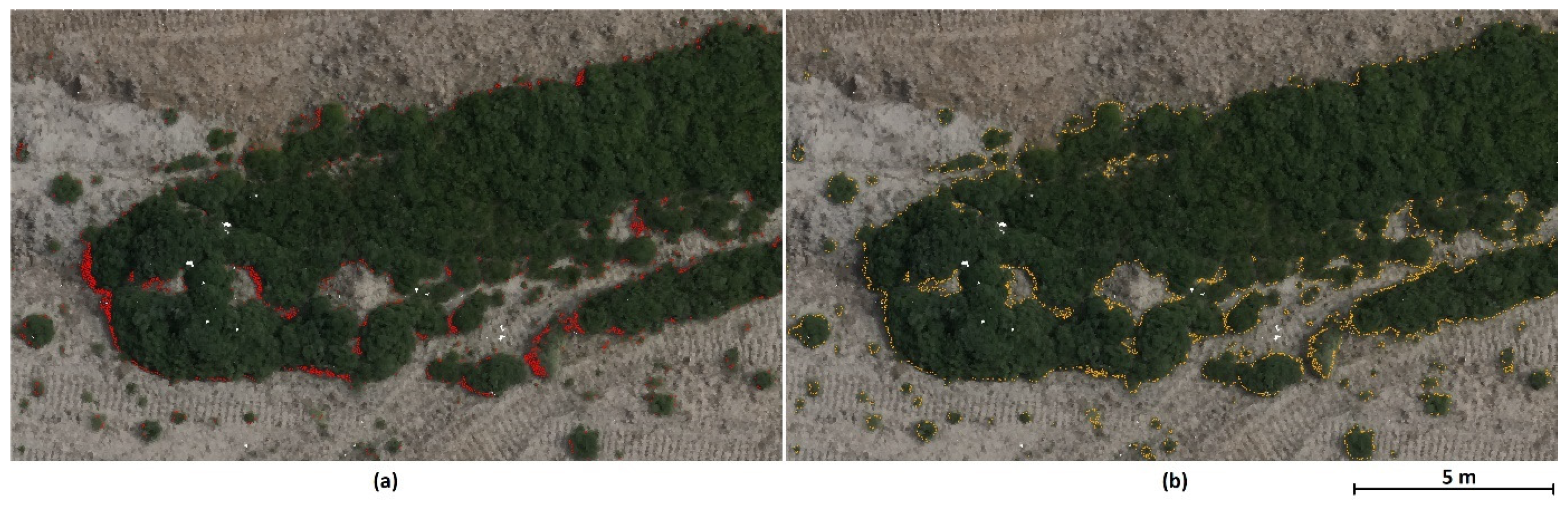 Remotesensing 16 00115 g007