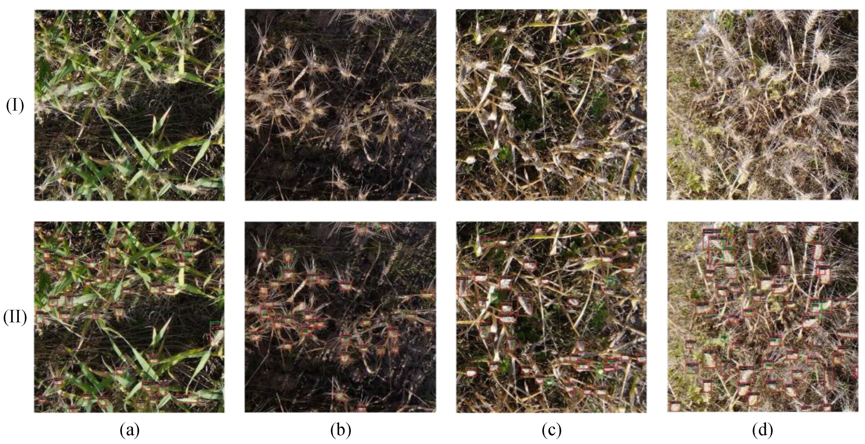 Remotesensing 16 00149 g016