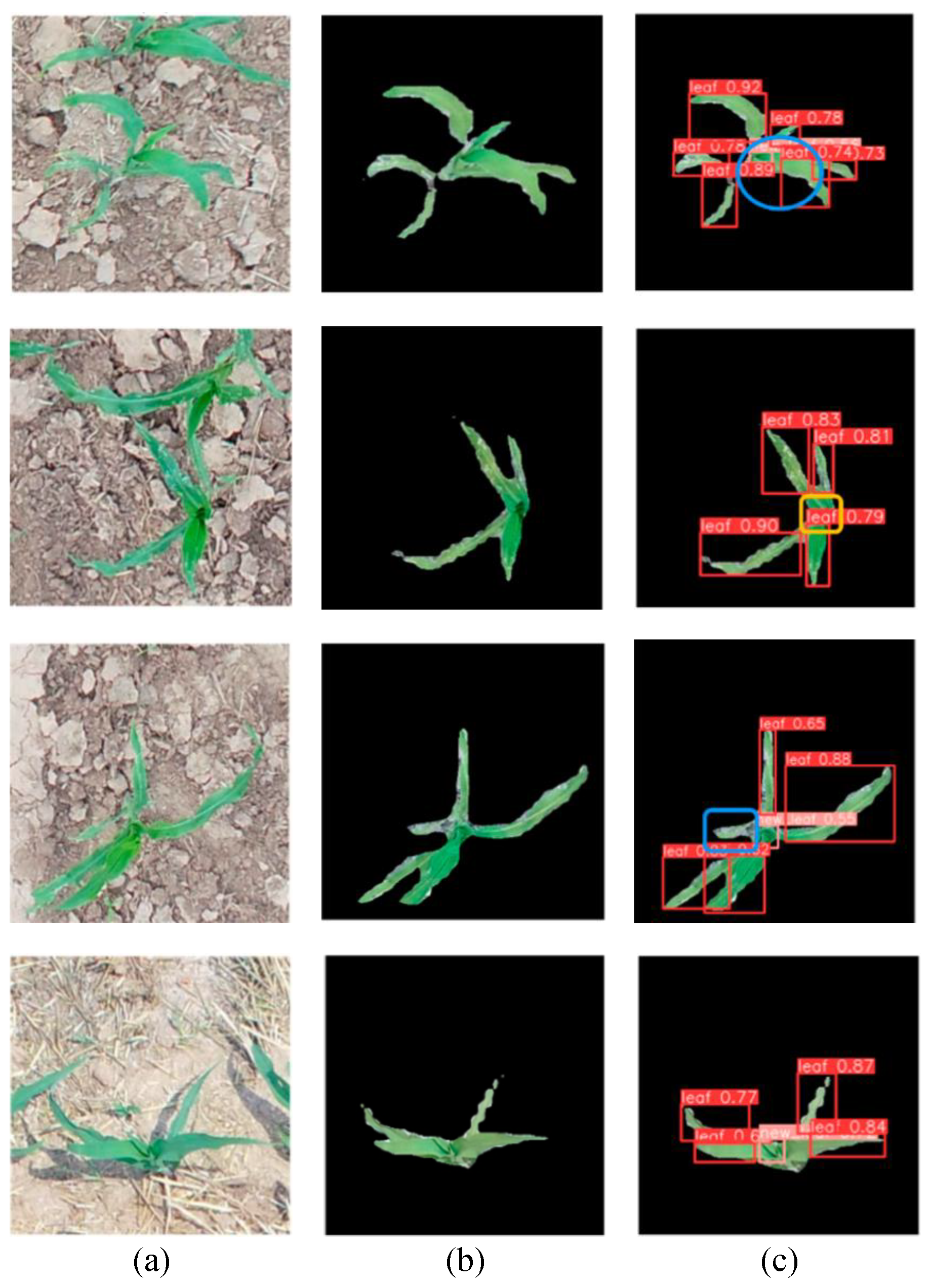 Remotesensing 16 00149 g018