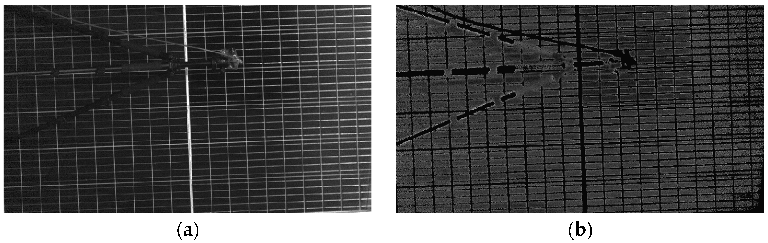 Remotesensing 16 00153 g003
