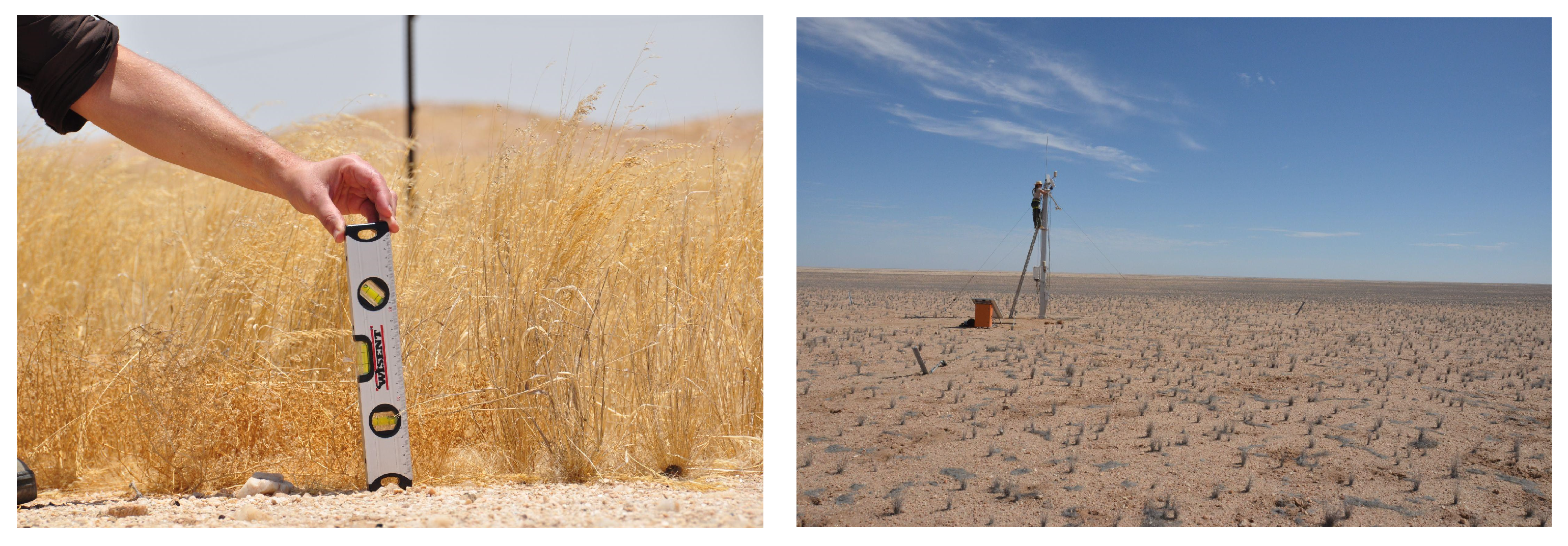 Remotesensing 16 00159 g002