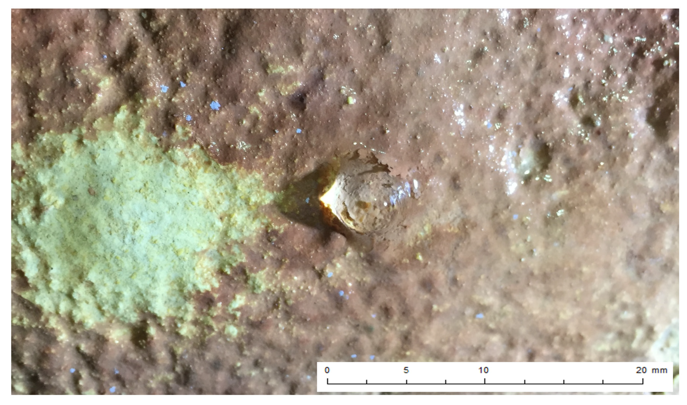 Remotesensing 16 00197 g006