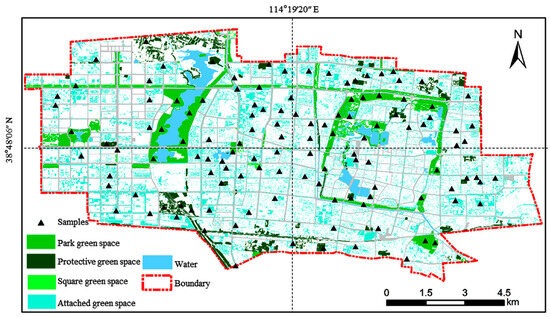 Estimation for Refined Carbon Storage of Urban Green Space