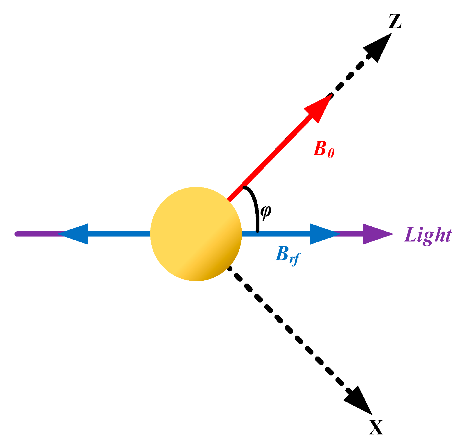 Remotesensing 16 00226 g001