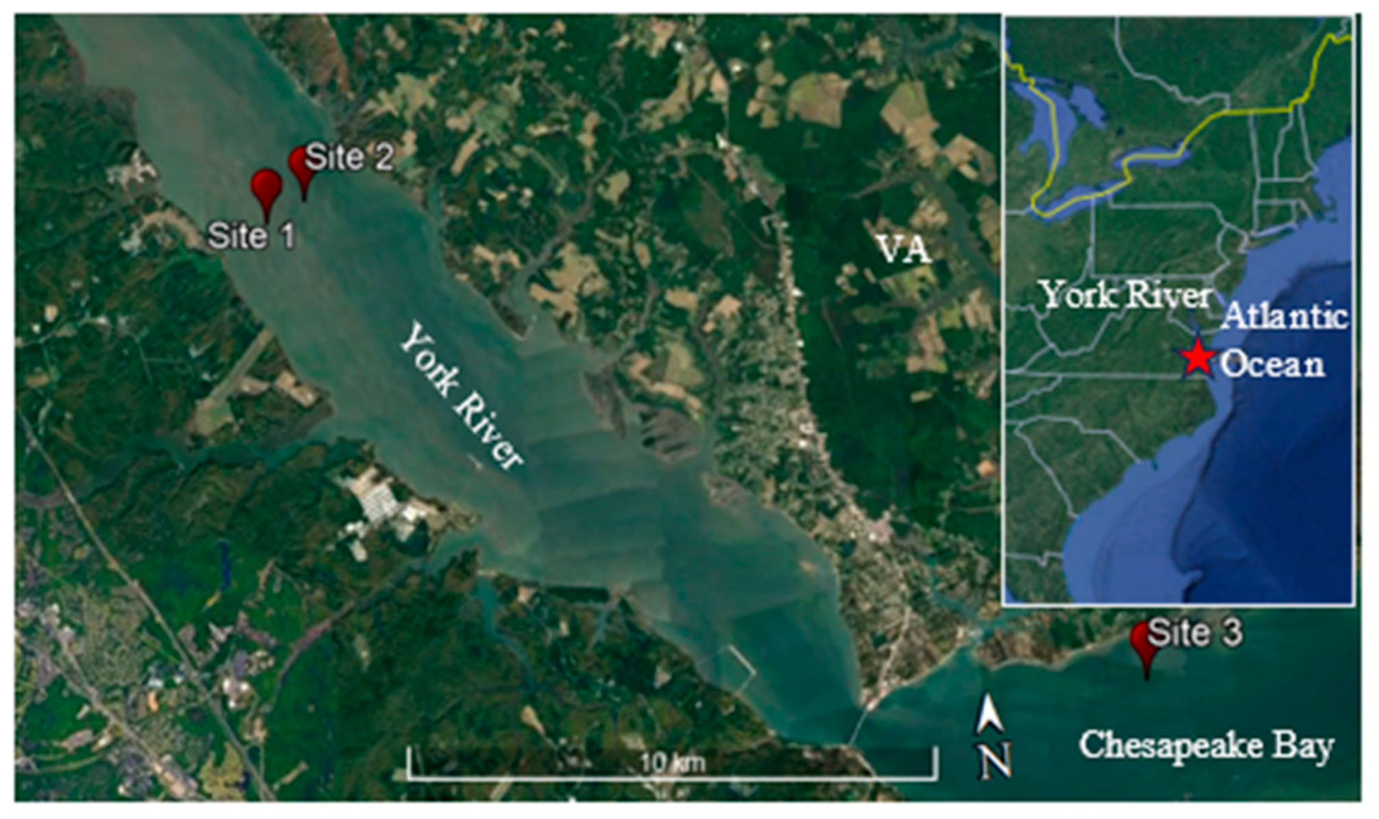 Remotesensing 16 00241 g001