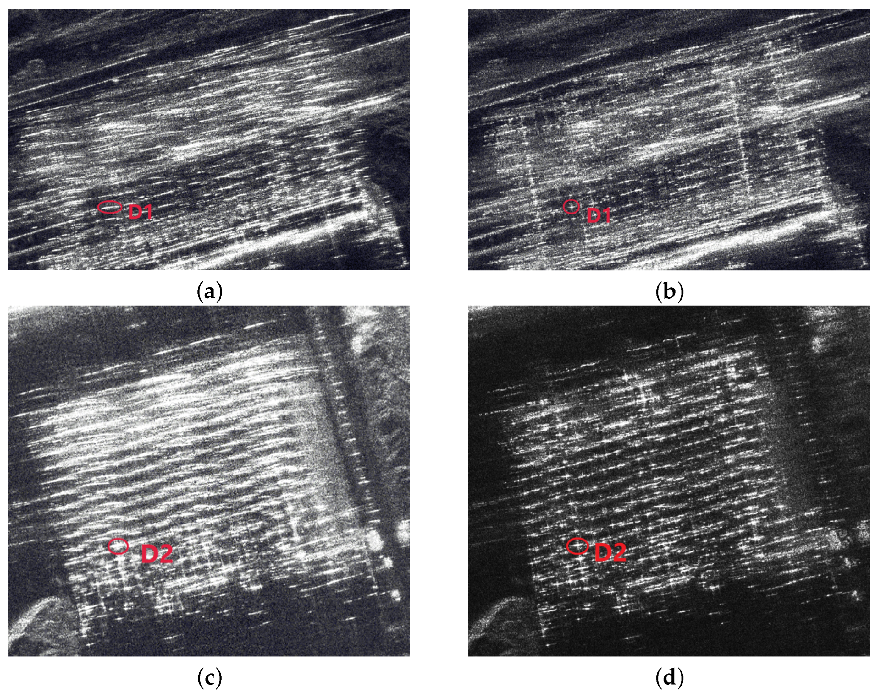 Remotesensing 16 00253 g017