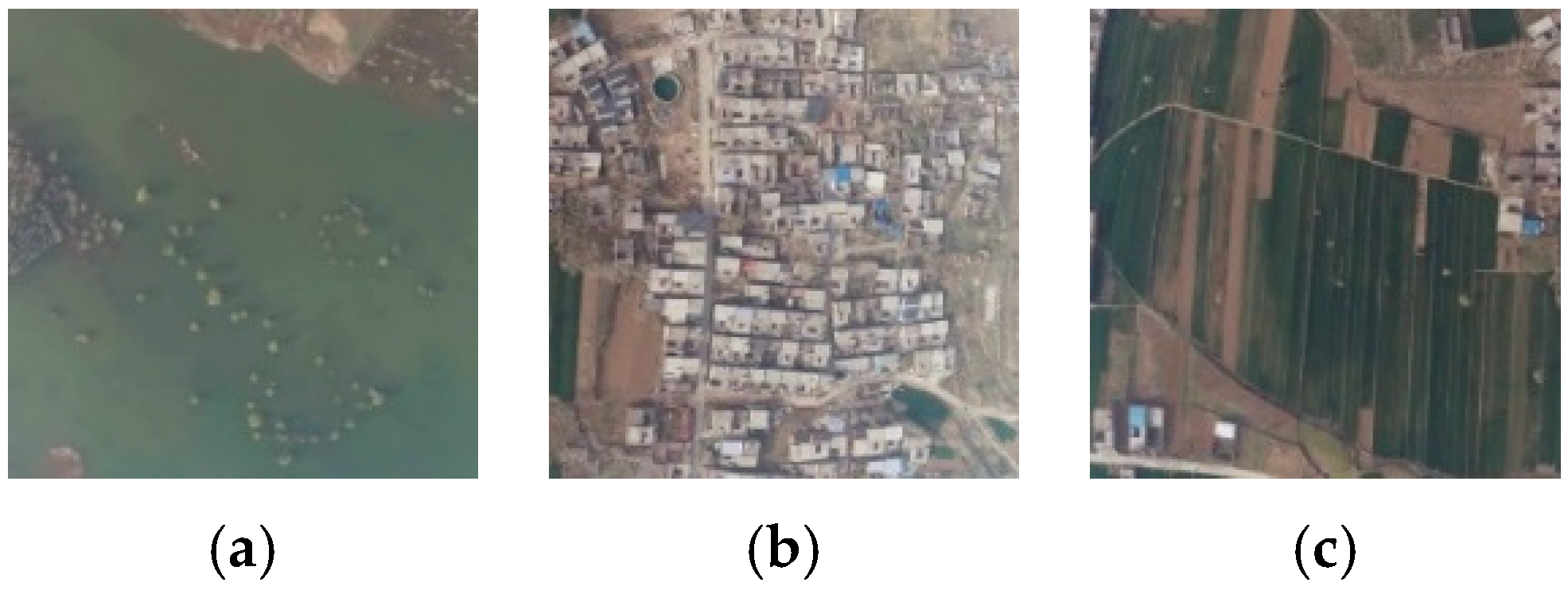 Remotesensing 16 00309 g008