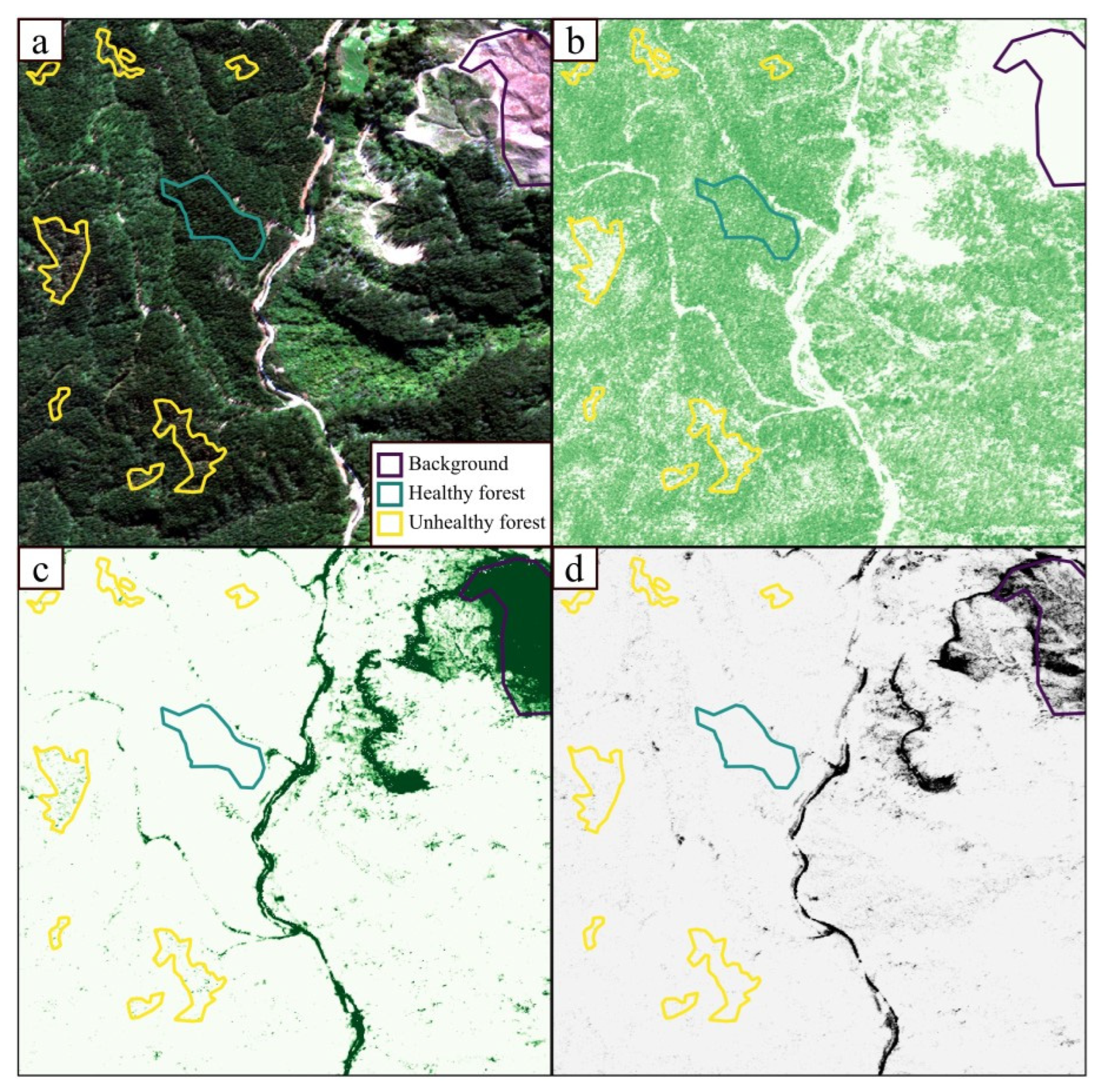 Remotesensing 16 00338 g003