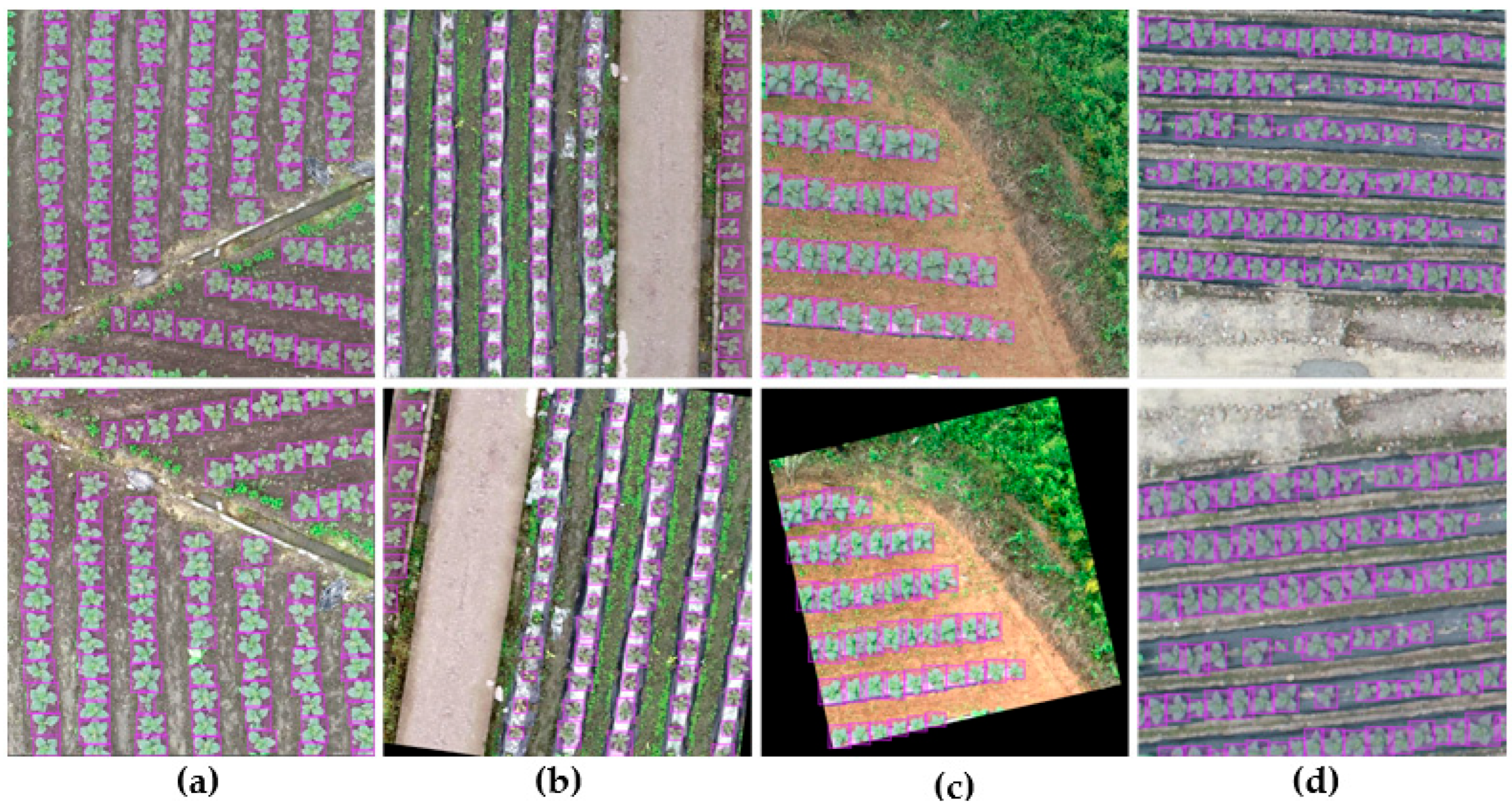 Remotesensing 16 00359 g002