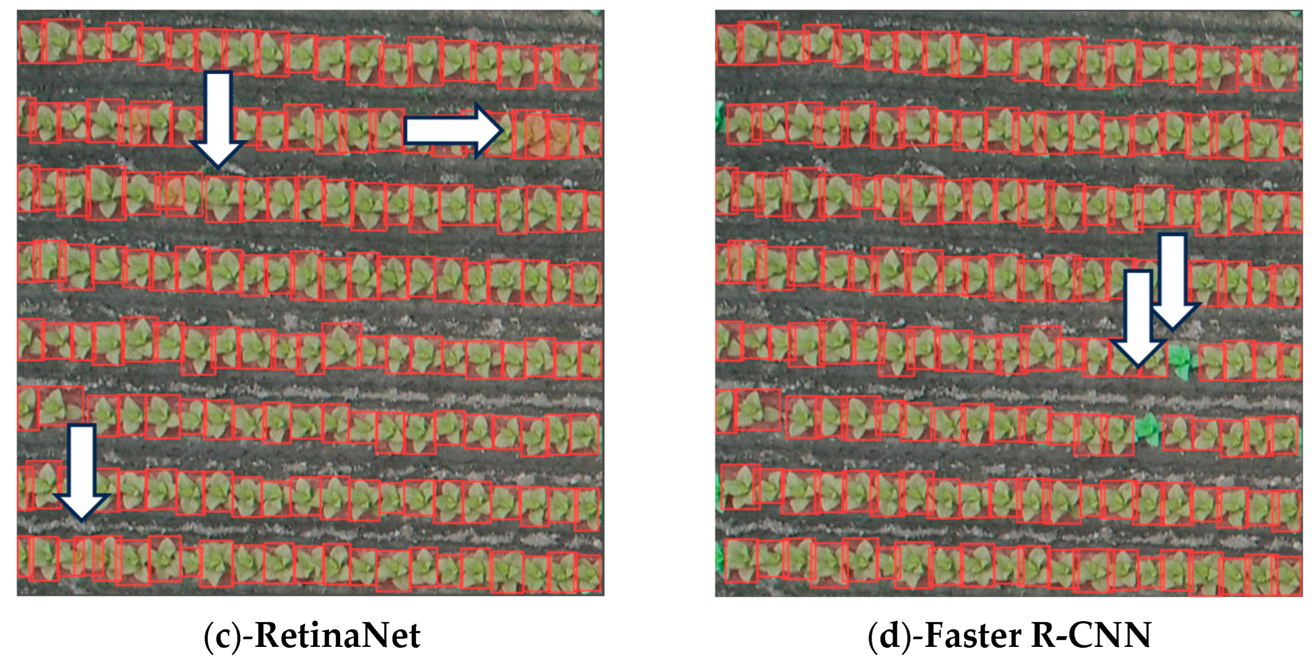 Remotesensing 16 00359 g010b