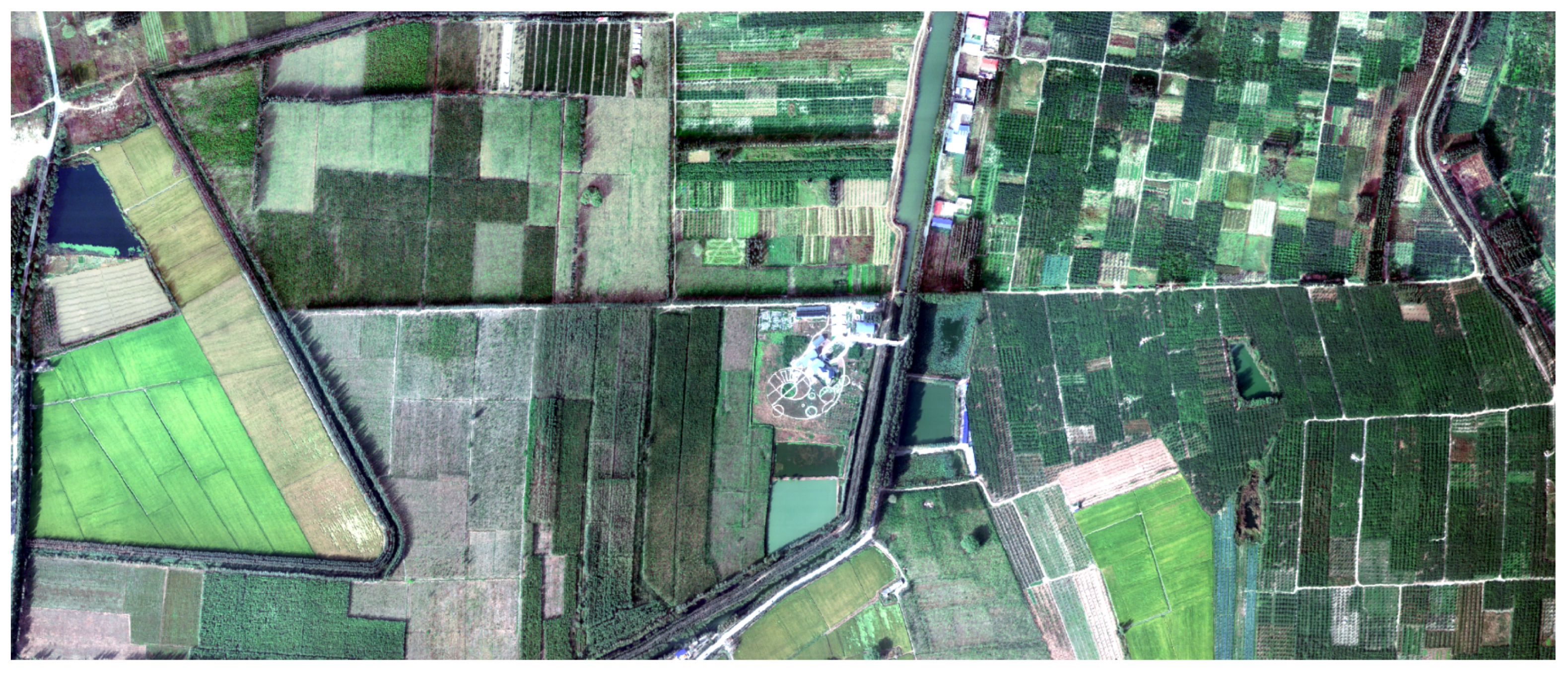 Remotesensing 16 00422 g006