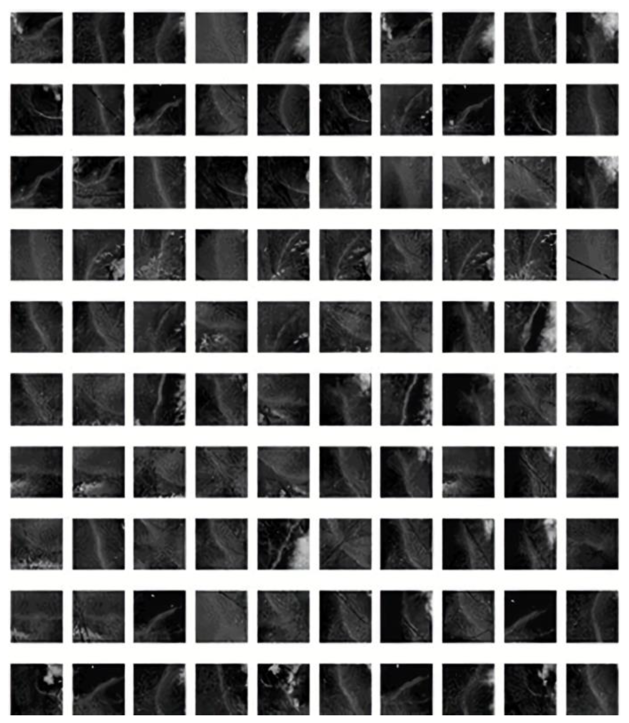 Remotesensing 16 00439 g001 Remotesensing 16 00439 g001