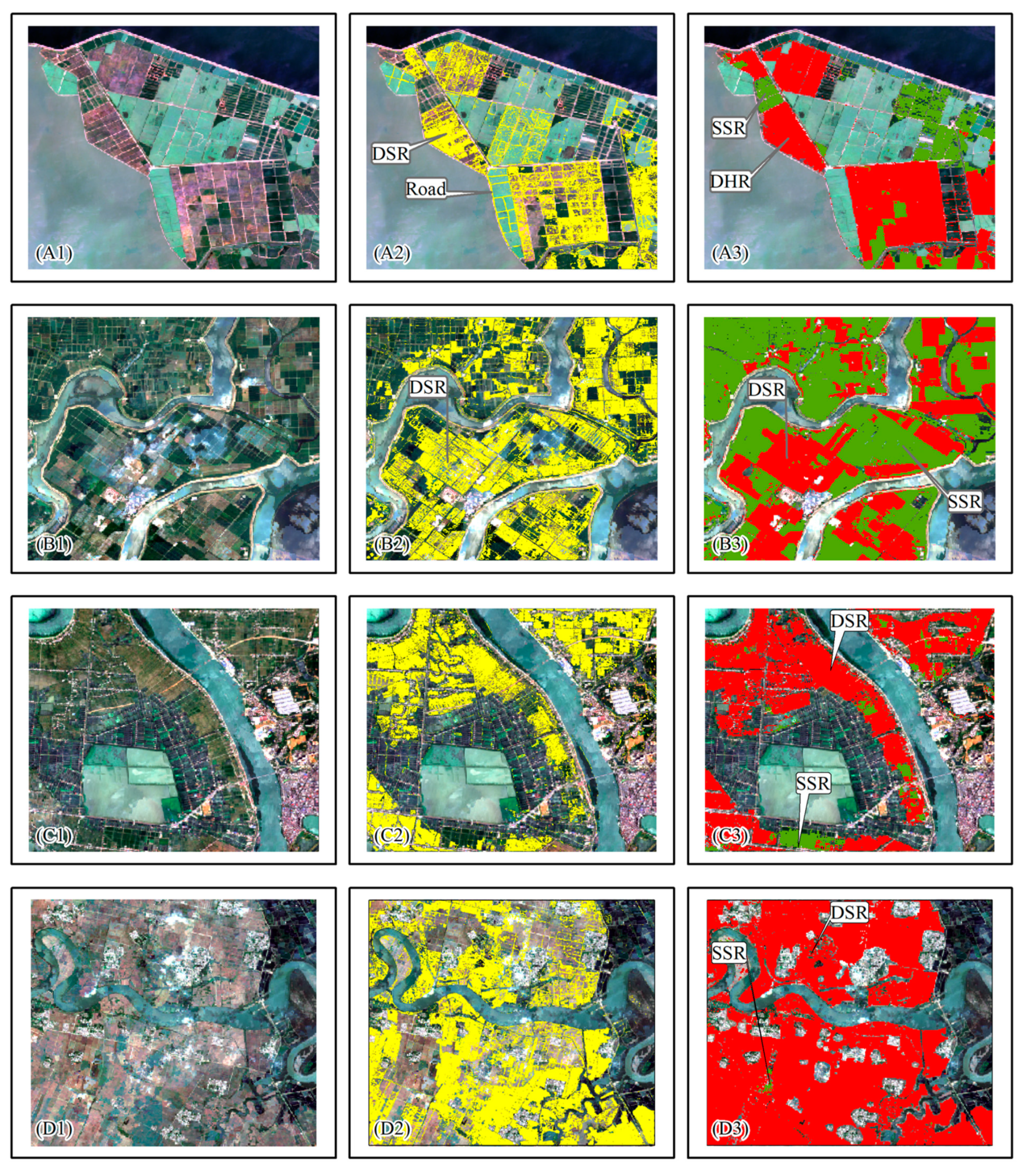 Decline in Planting Areas of Double-Season Rice by Half in