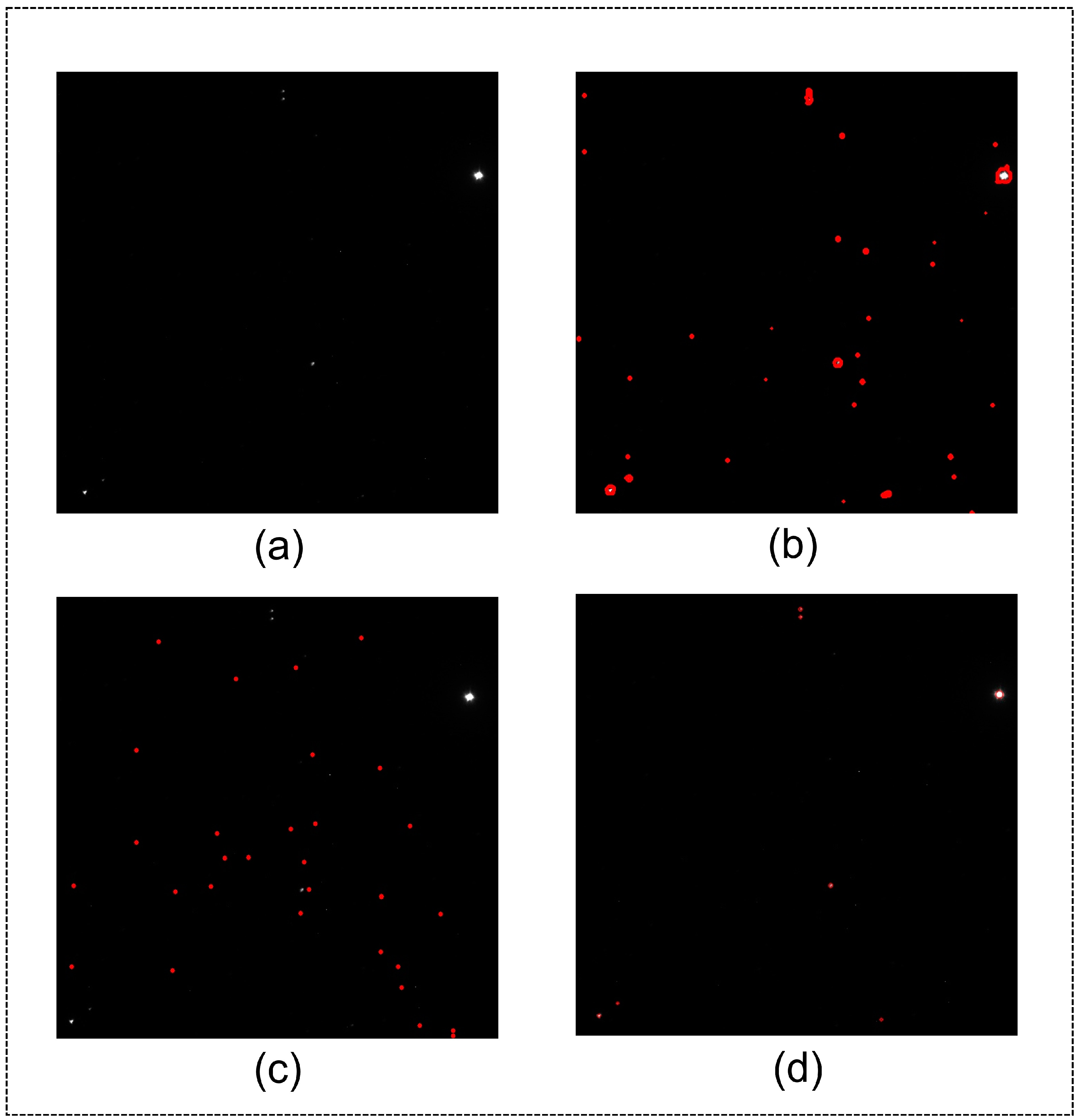 Remotesensing 16 00536 g003