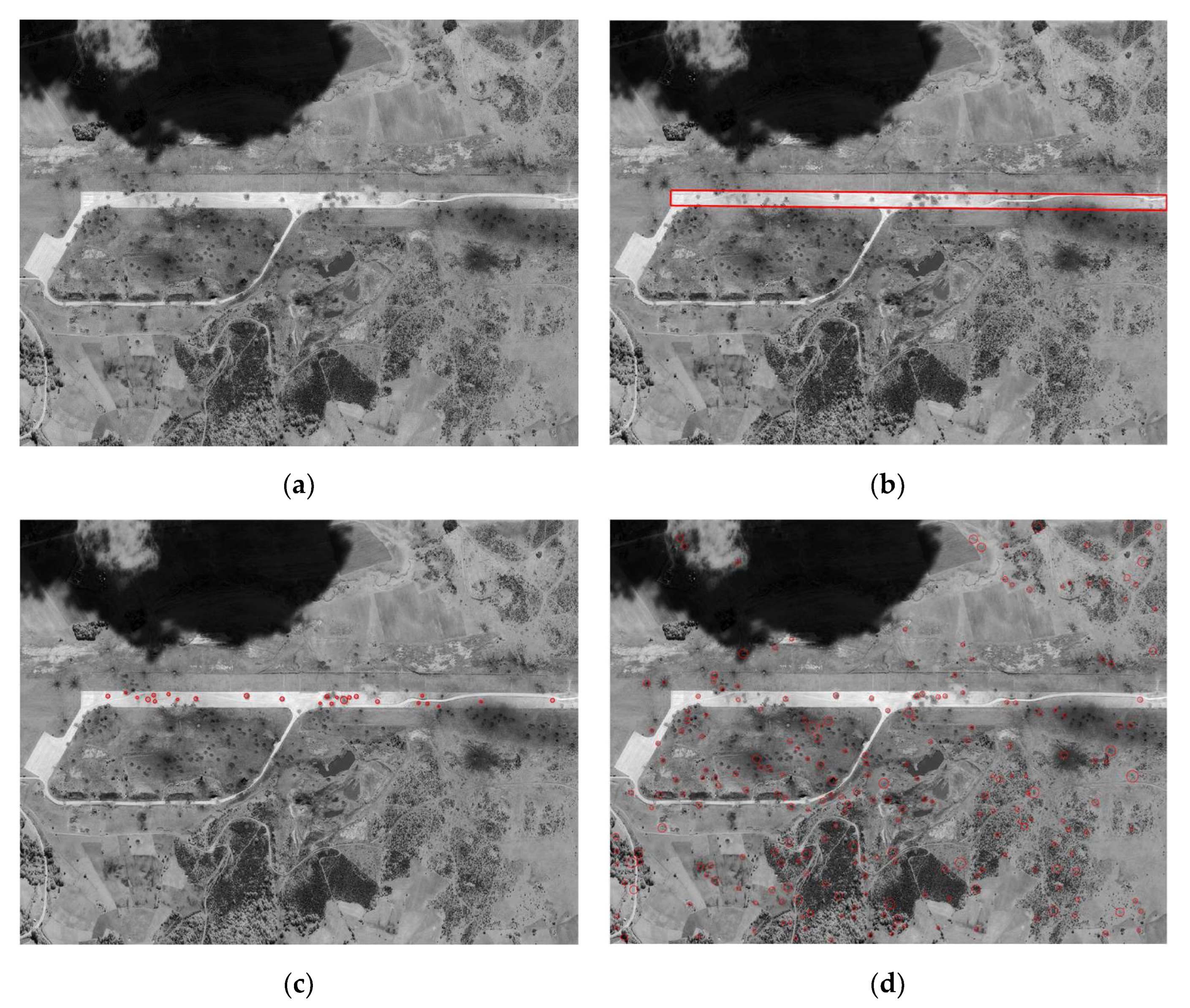 Remotesensing 16 00573 g010a