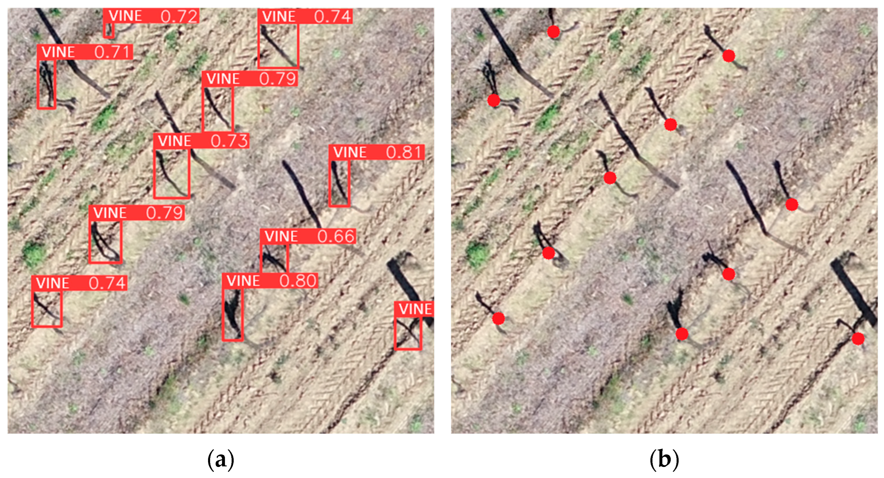 Remotesensing 16 00584 g009