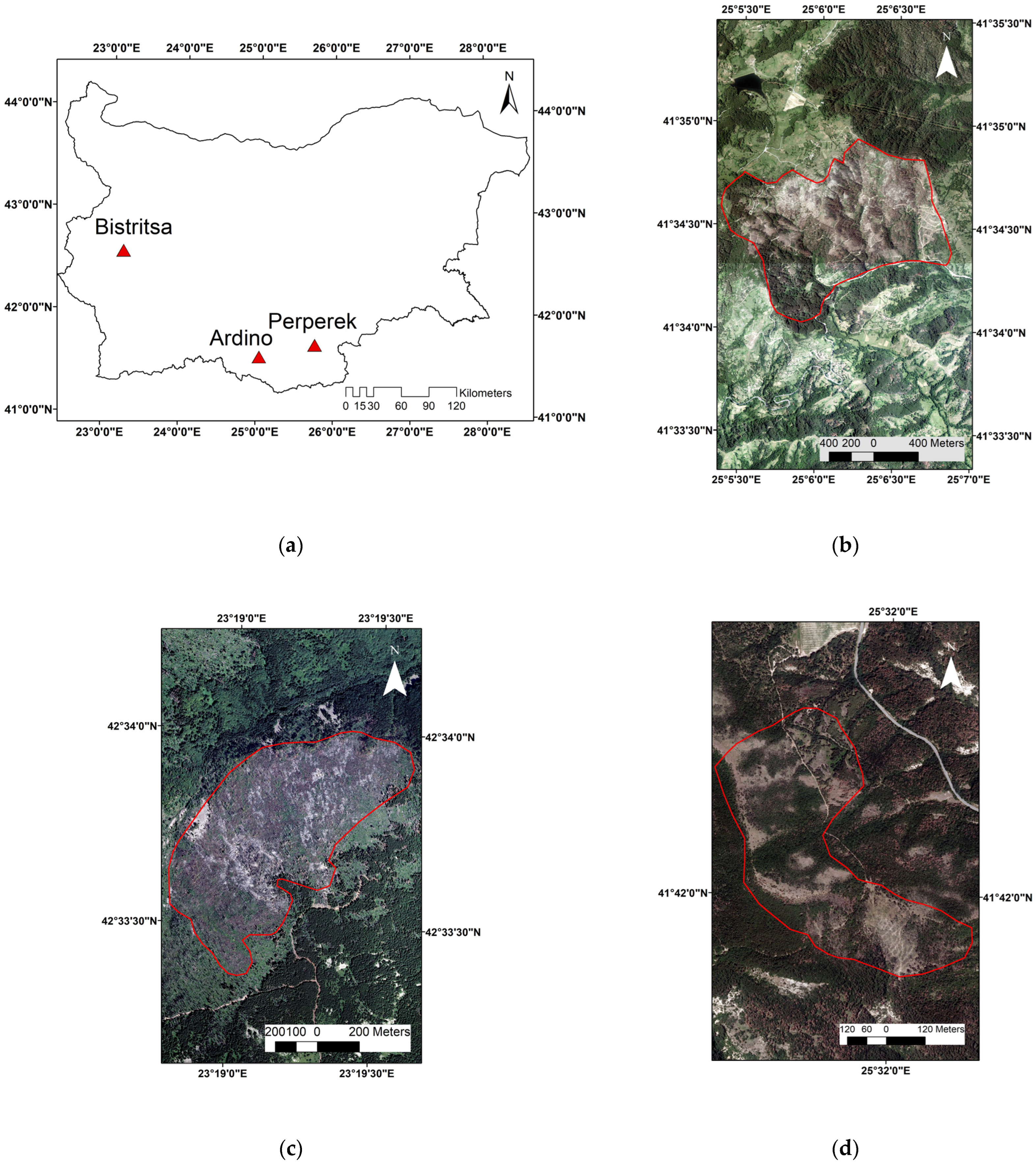 Remotesensing 16 00597 g001