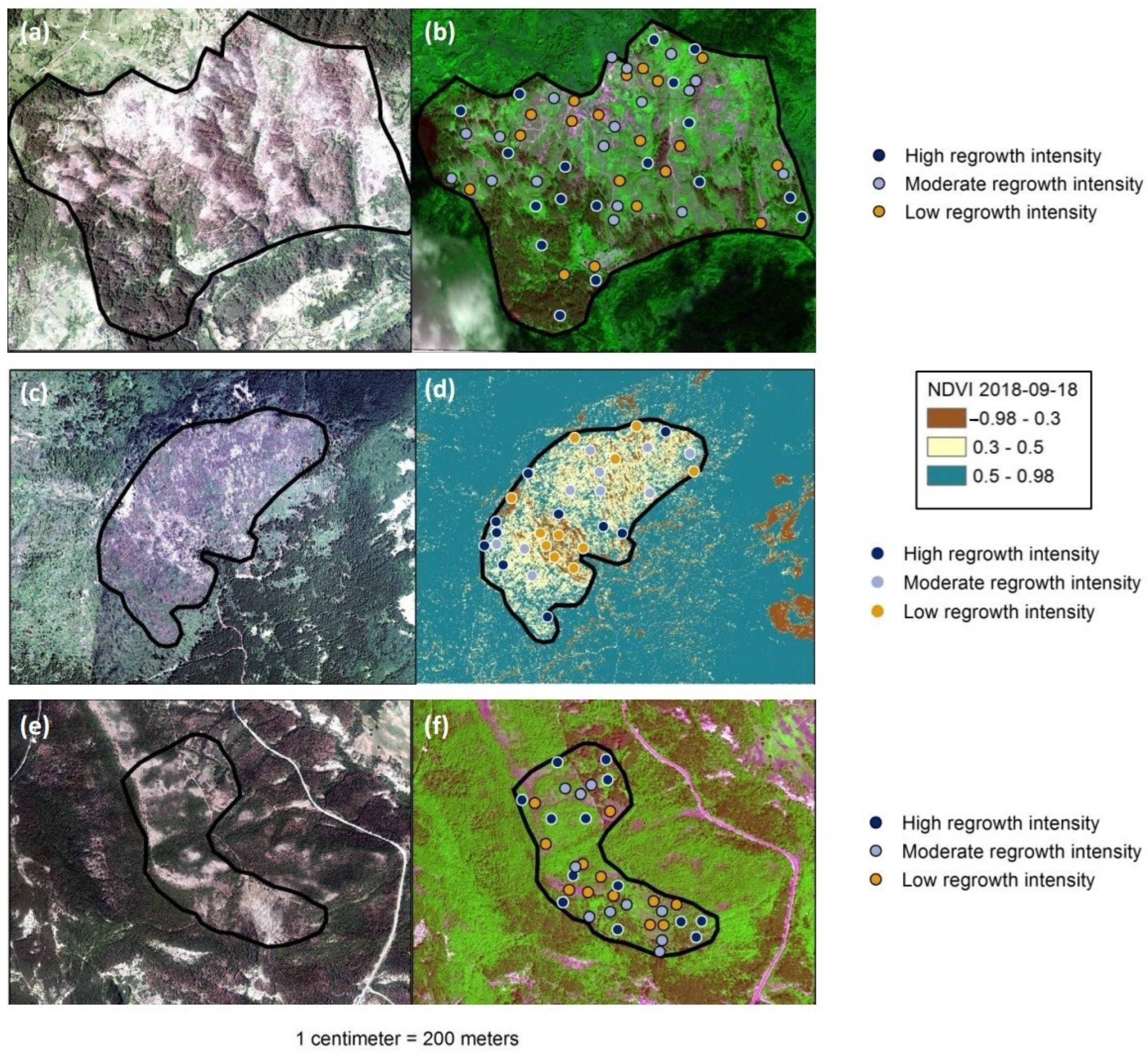Remotesensing 16 00597 g002