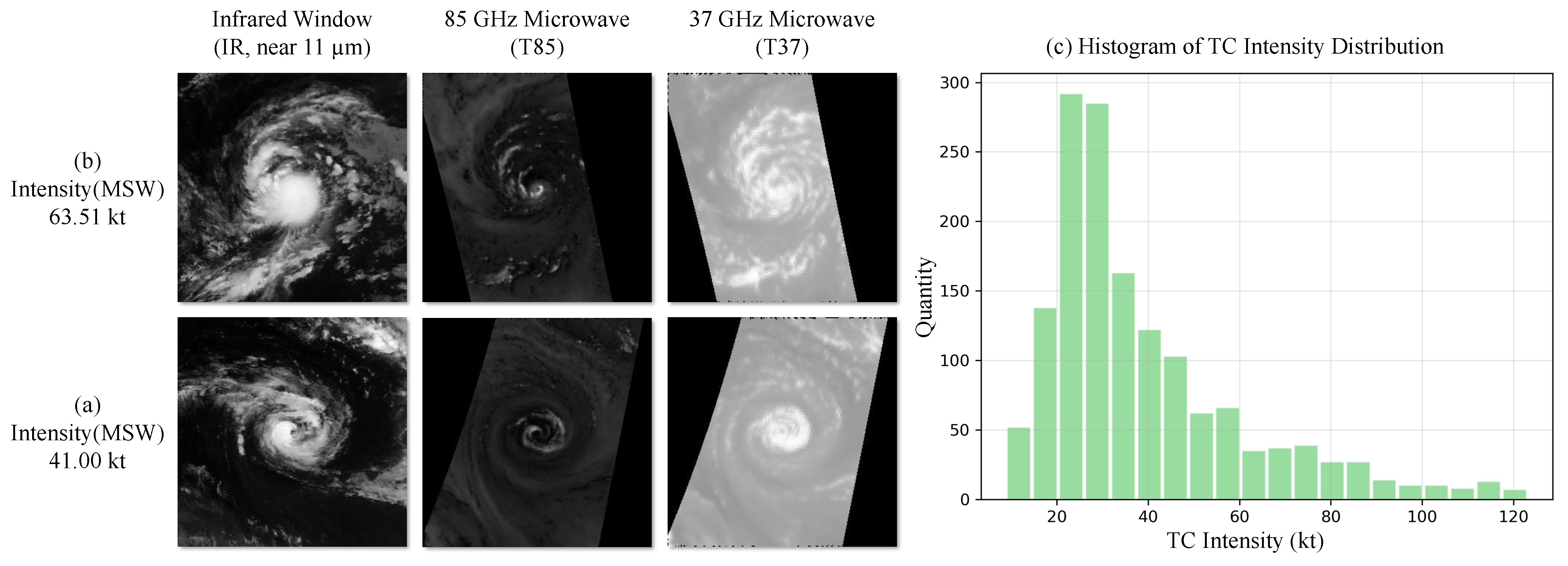 Remotesensing 16 00606 g001