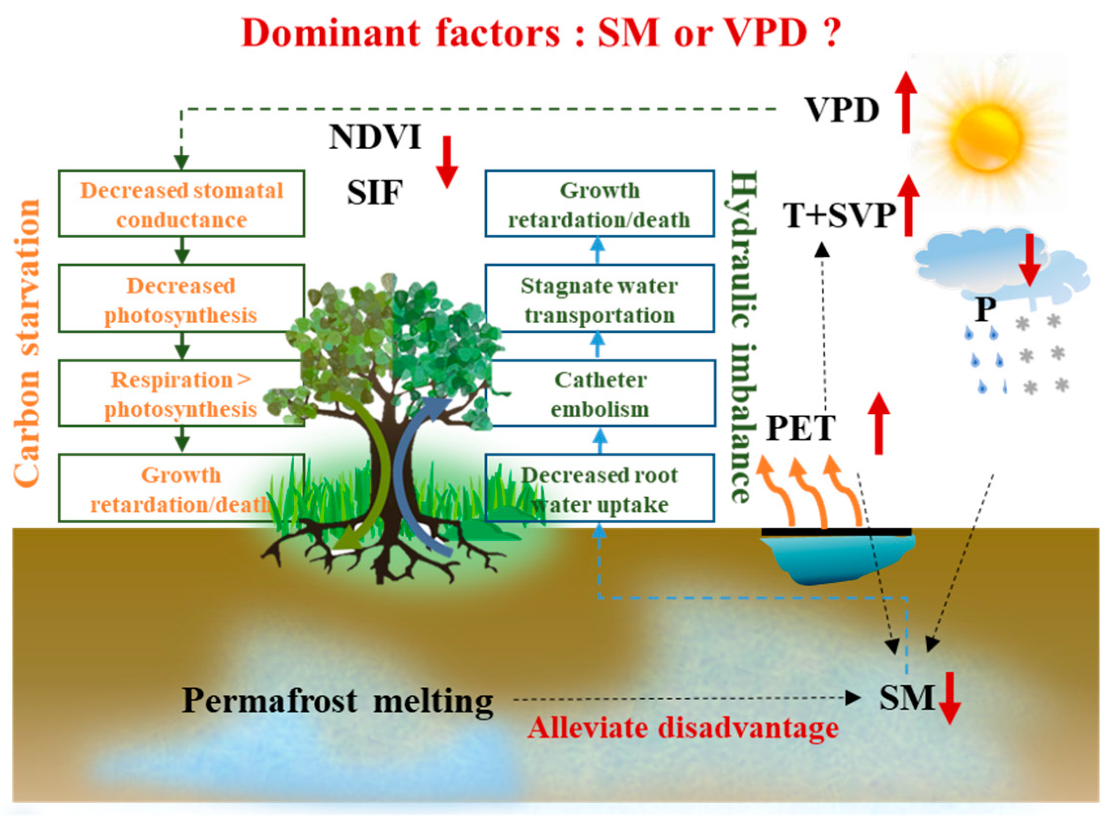 Remotesensing 16 00630 g001
