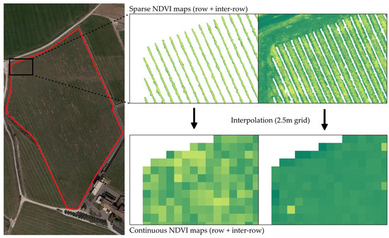 Precision Rvi Mapping System Remote Sensing | Free Full-Text | Effectiveness of Management Zones ...
