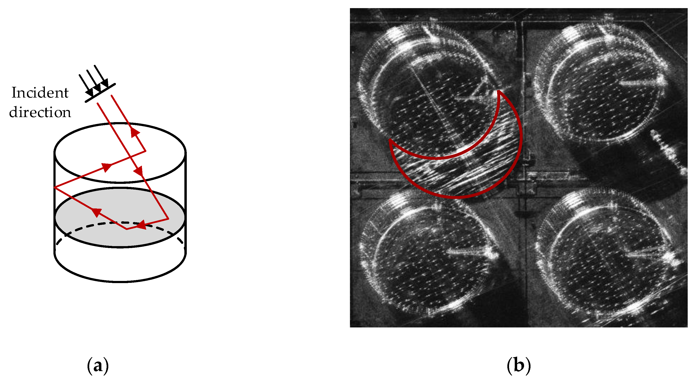 Remotesensing 16 00637 g008