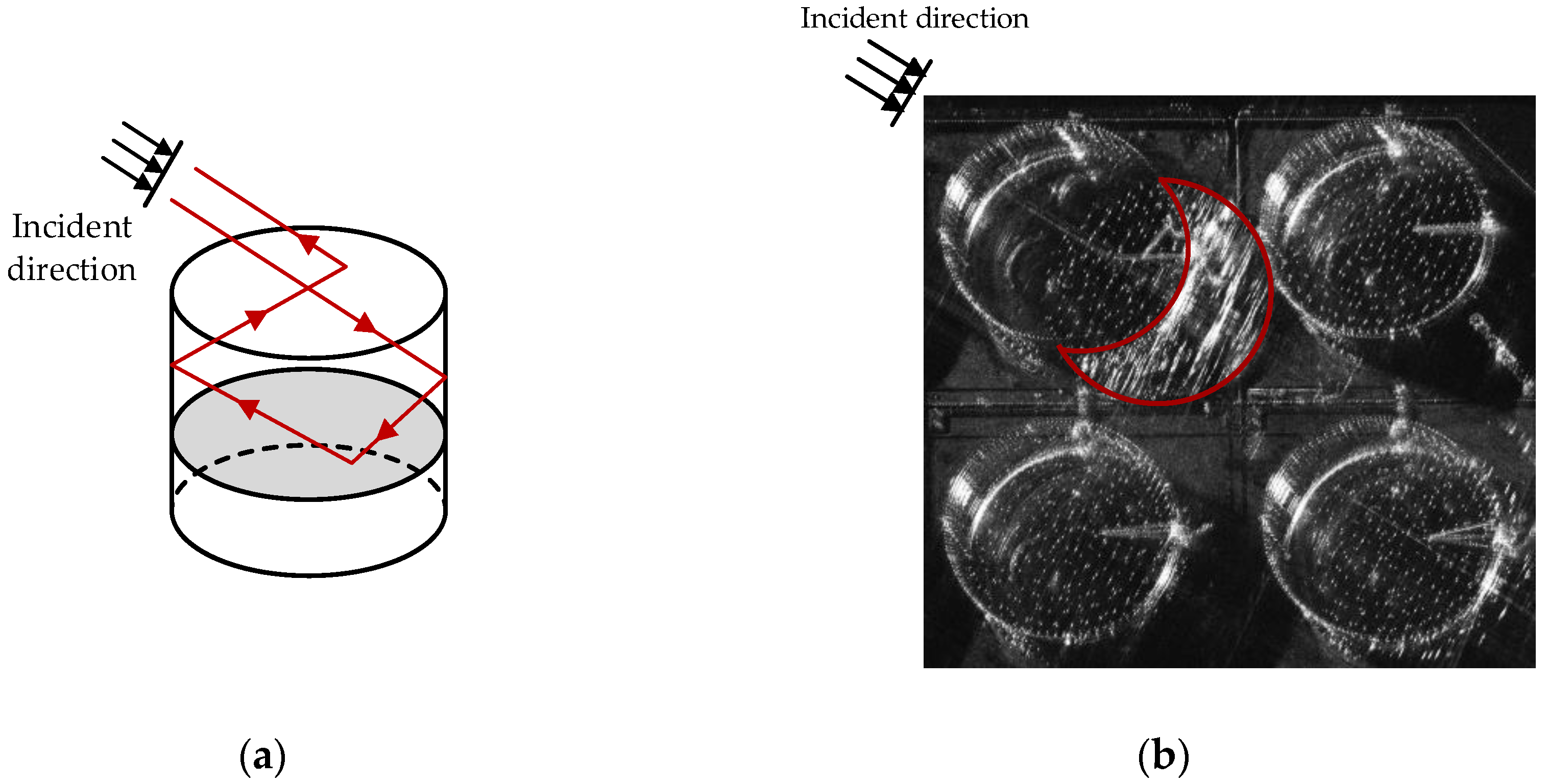 Remotesensing 16 00637 g010