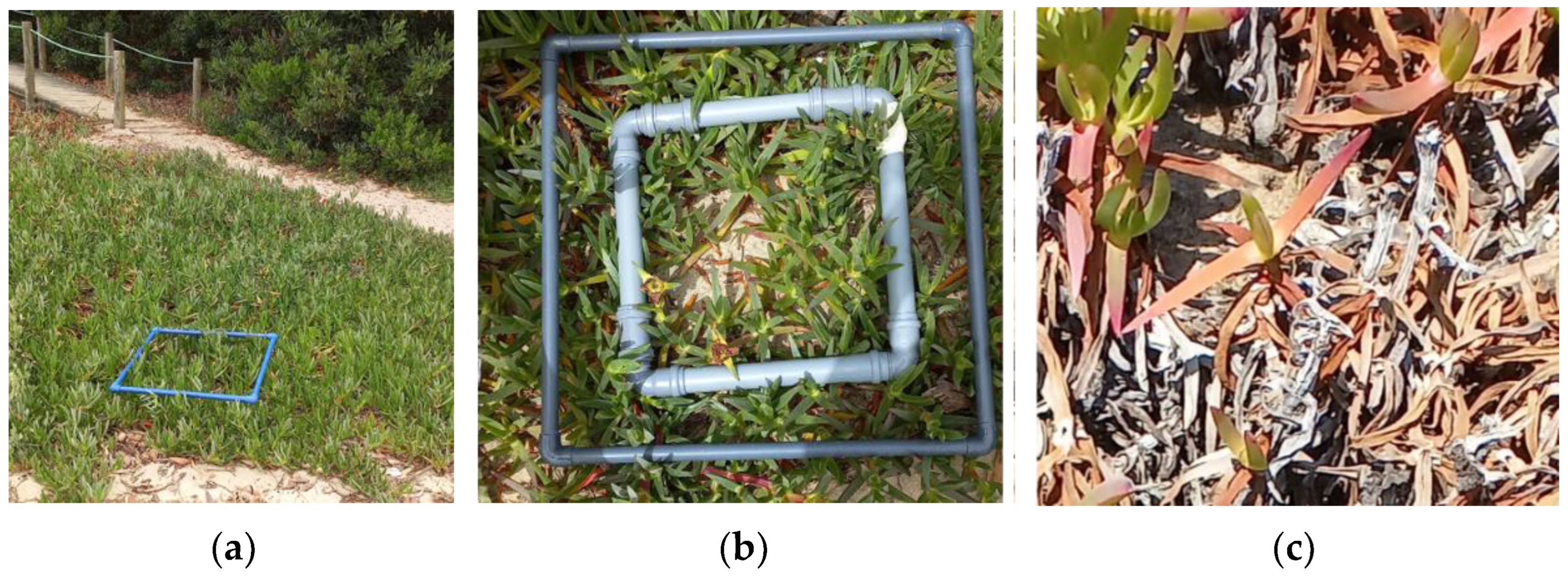 Remotesensing 16 00652 g002