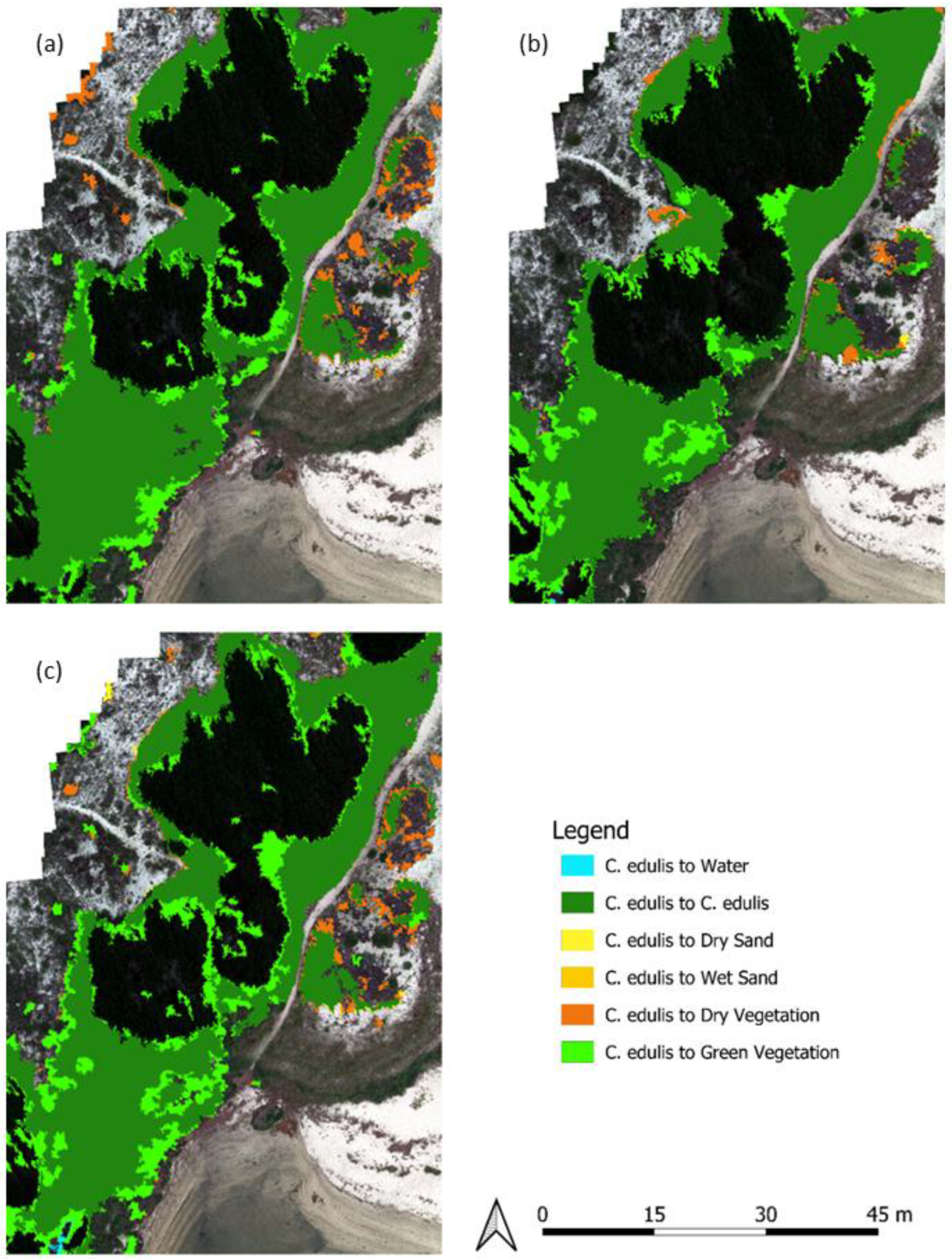Remotesensing 16 00652 g009