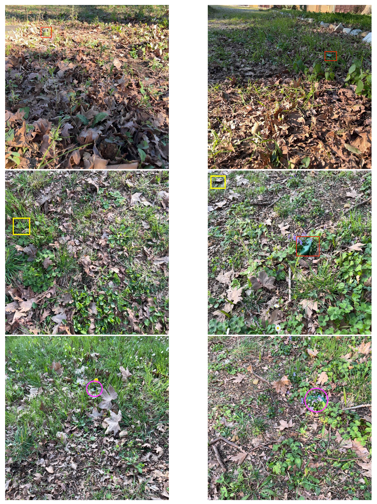 Remotesensing 16 00677 g007 Remotesensing 16 00677 g007