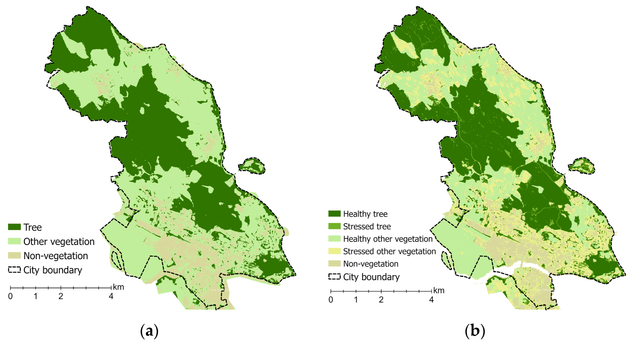 Remotesensing 16 00691 g005