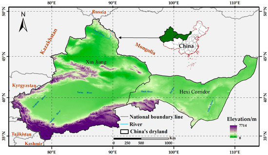 Evolution of Wetland Patterns and Key Driving Forces in