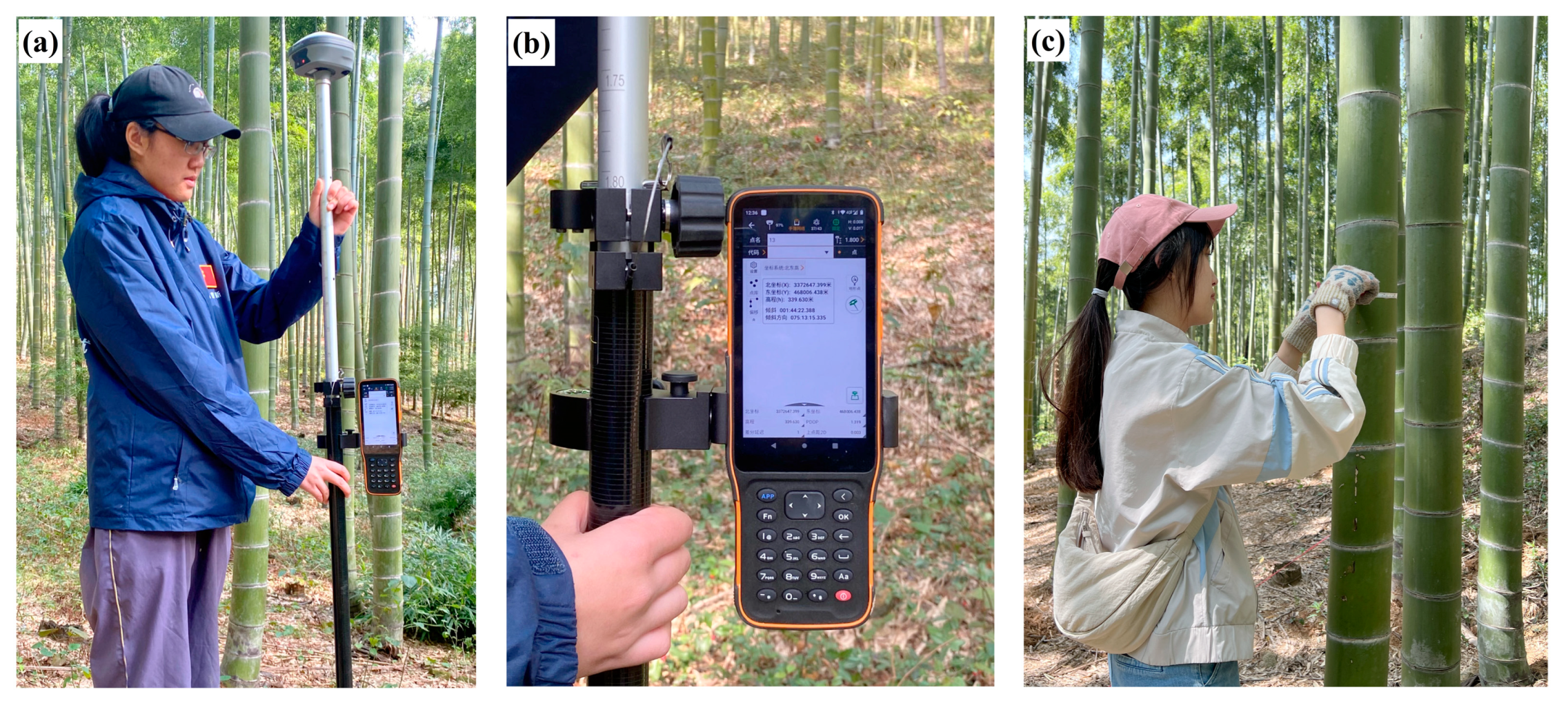 Remotesensing 16 00705 g003