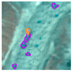 Remotesensing 16 00725 i009