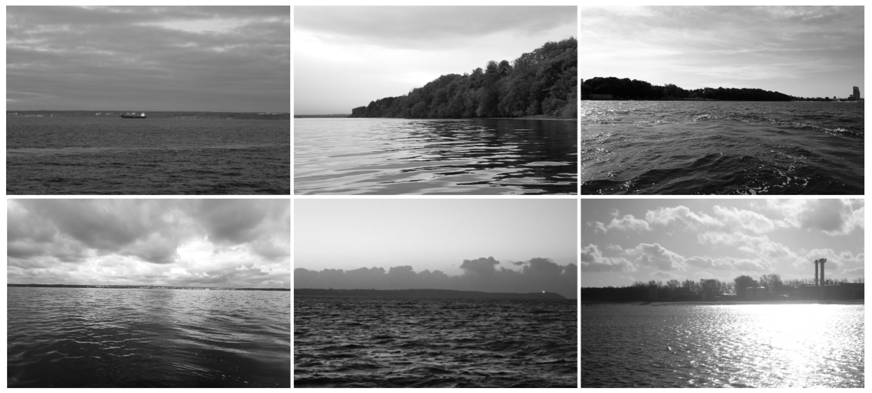 Remotesensing 16 00741 g008