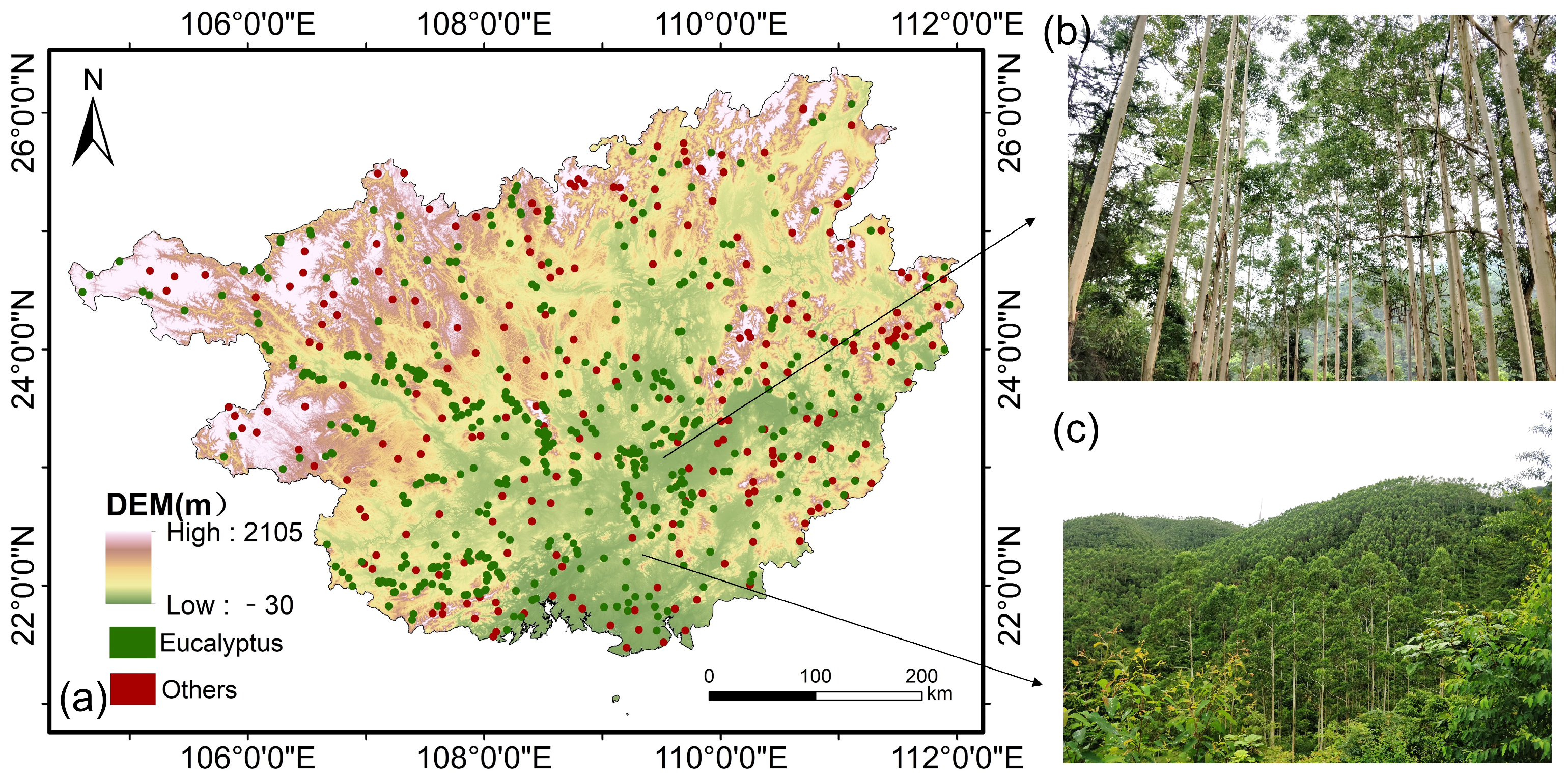 Remotesensing 16 00744 g003