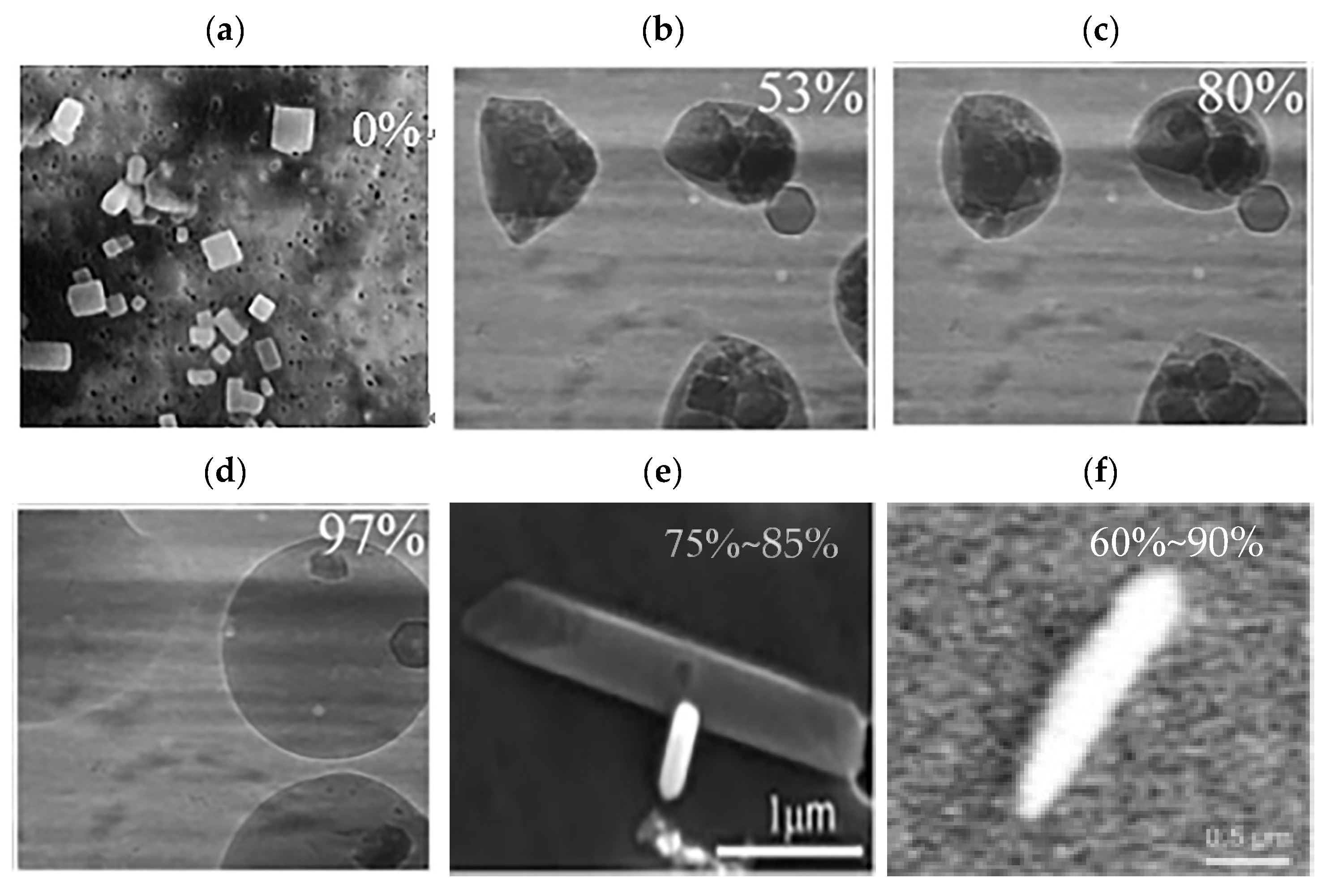 Remotesensing 16 00770 g001