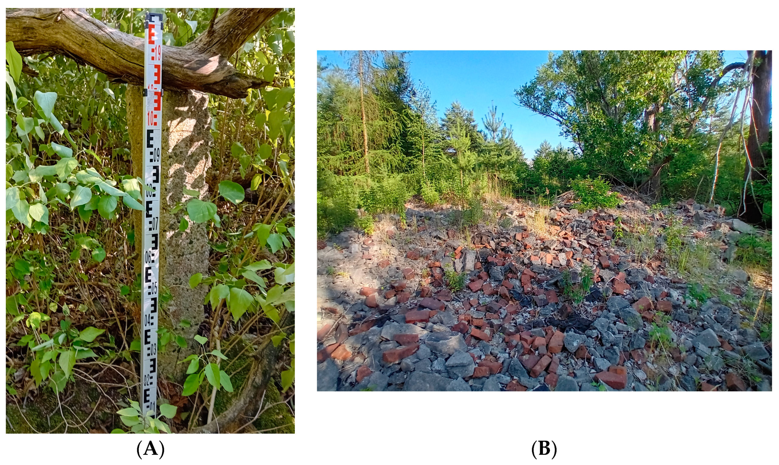 Remotesensing 16 00783 g011