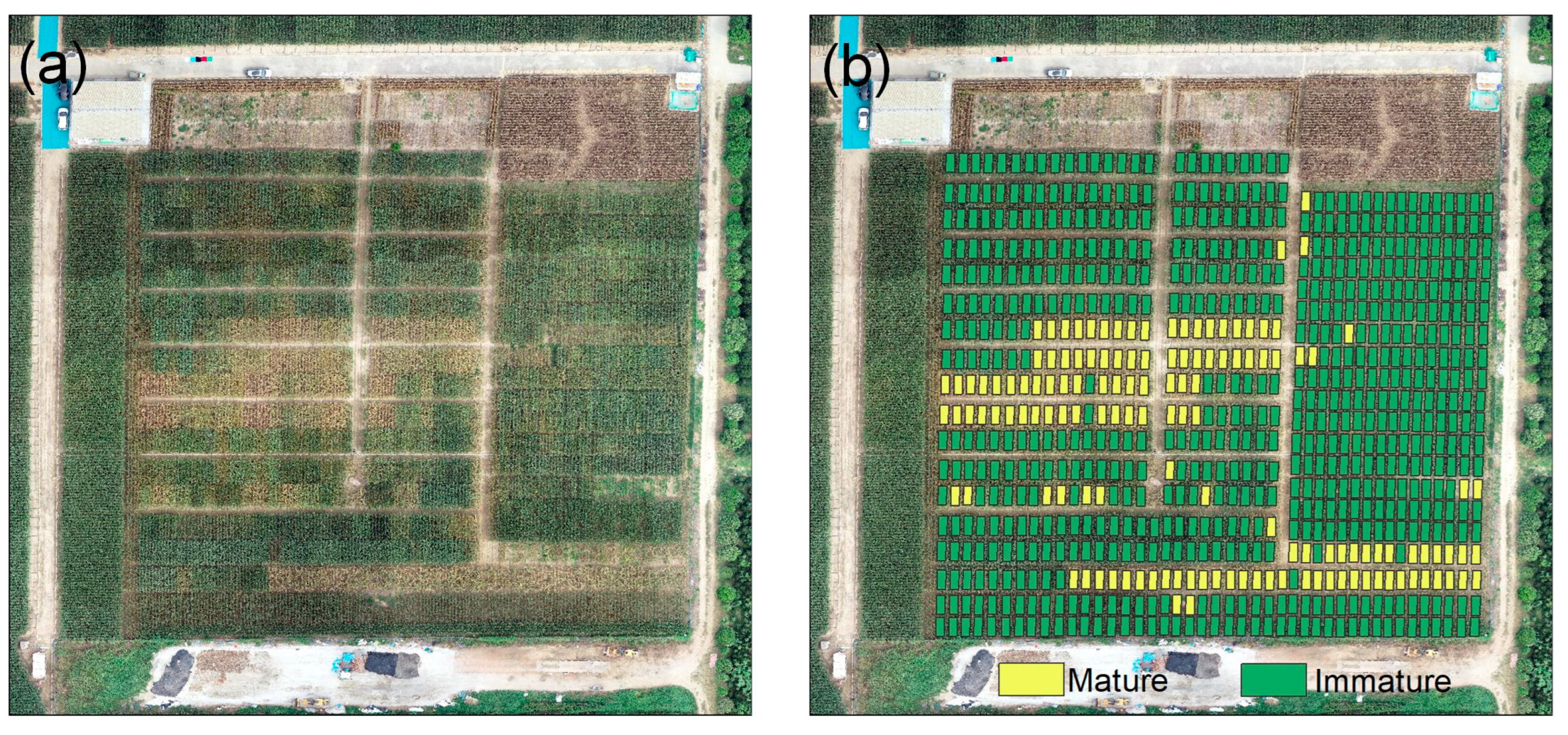 Remotesensing 16 00784 g014