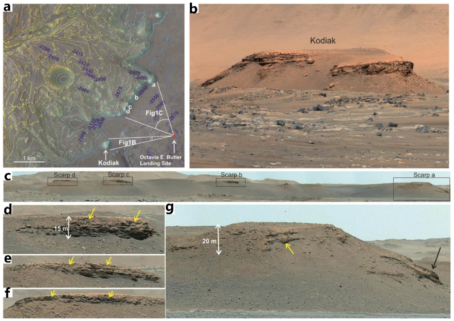 Remotesensing 16 00824 g020