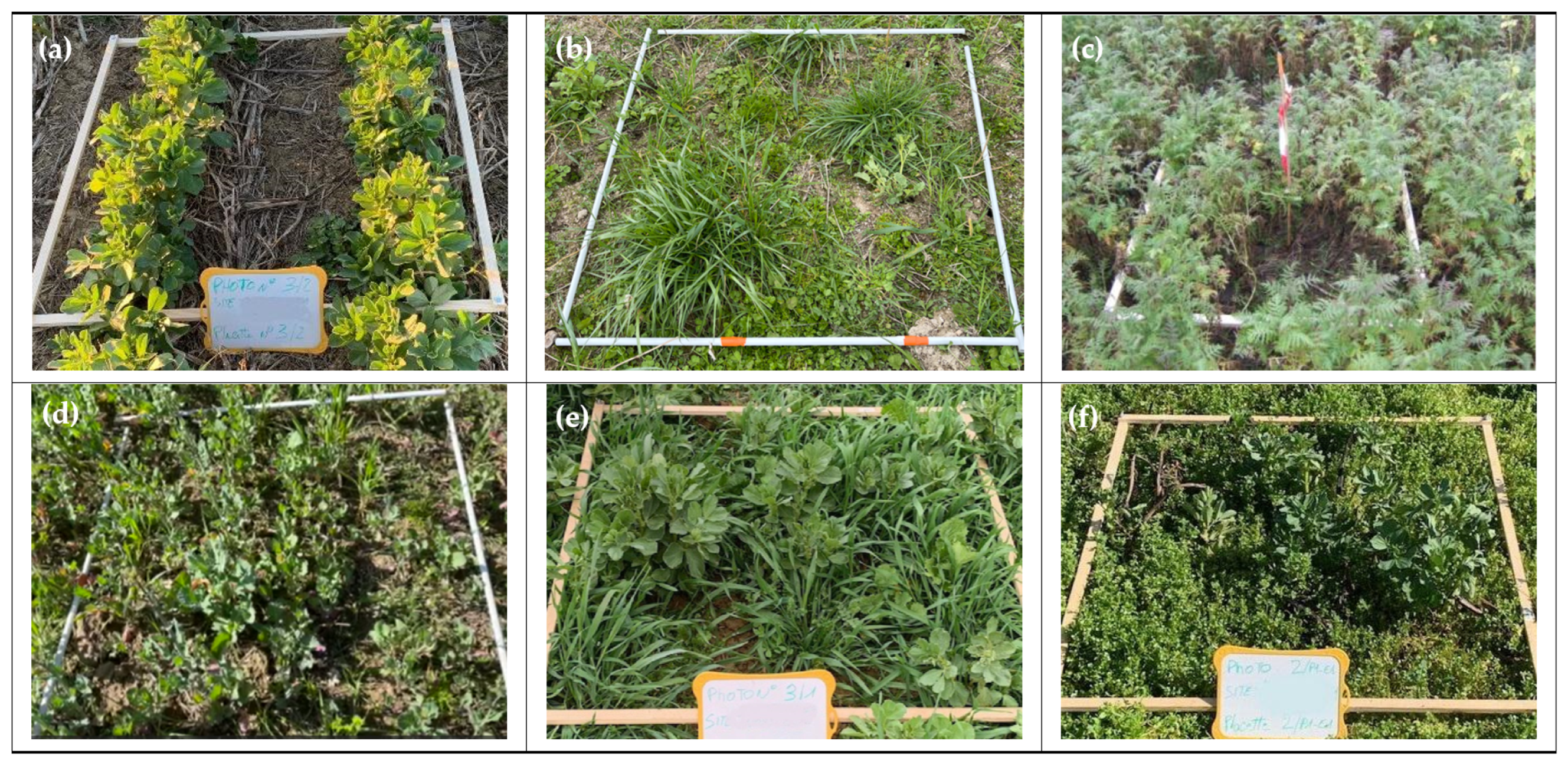 Remotesensing 16 00834 g003