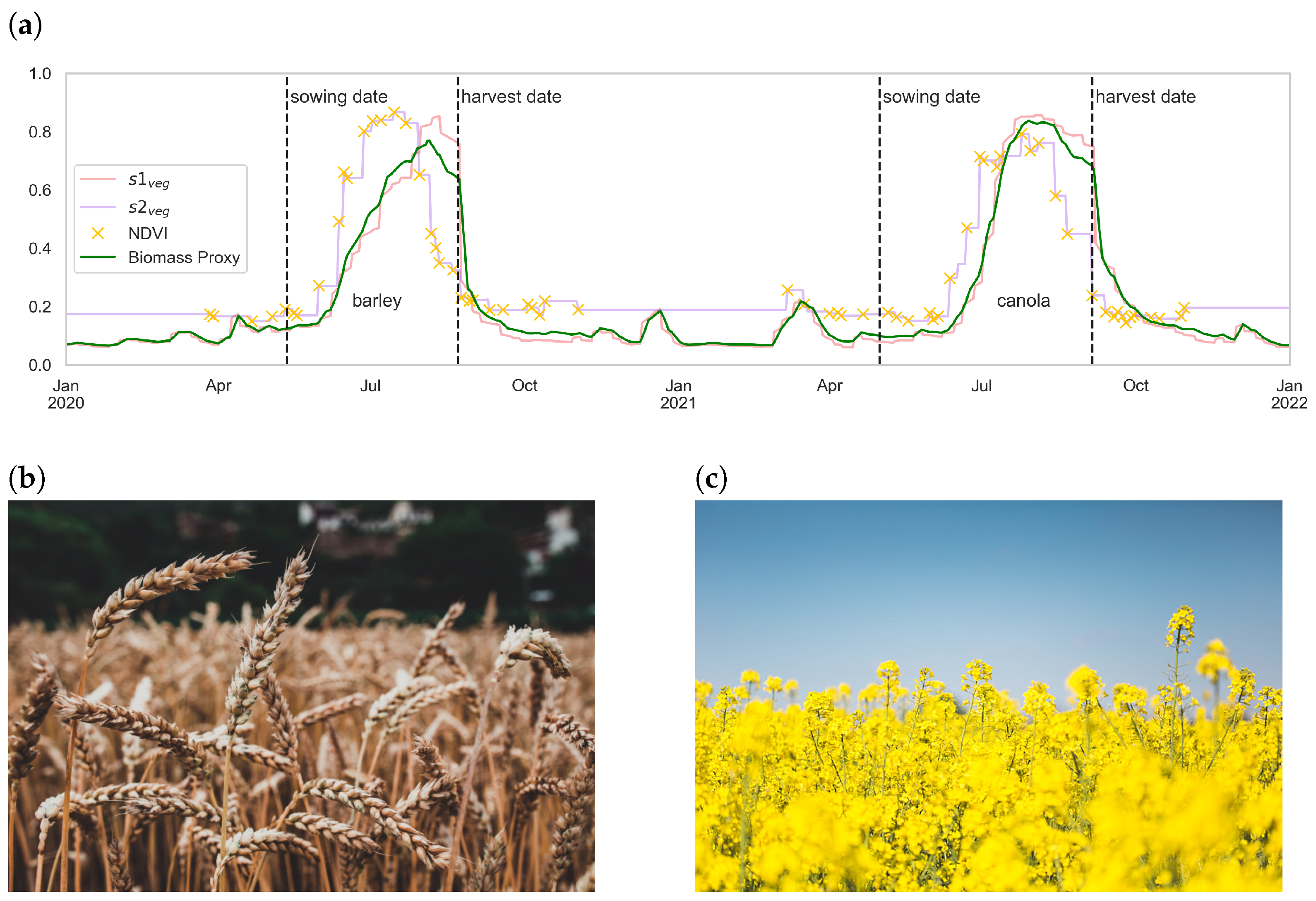 Remotesensing 16 00835 g010
