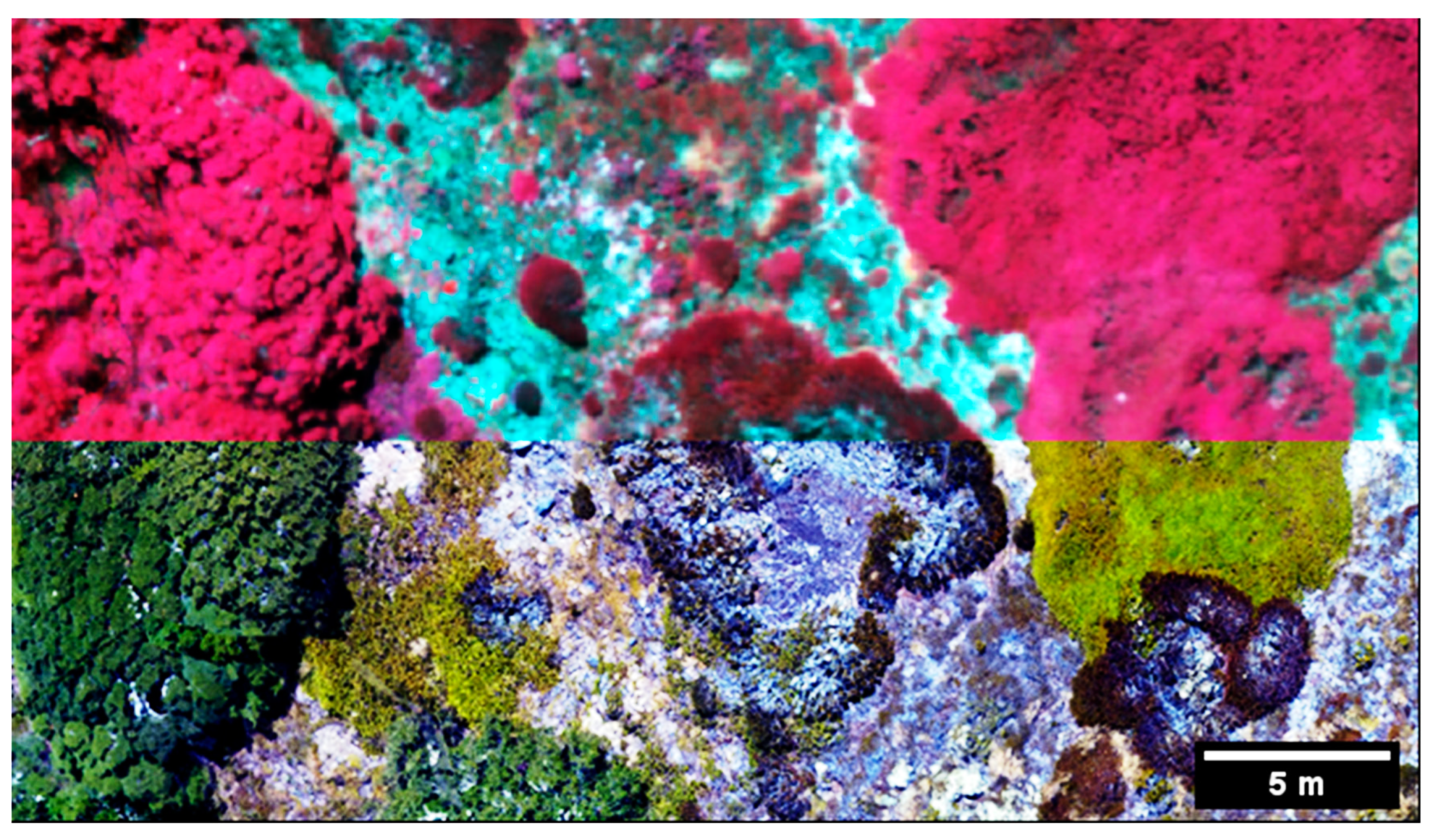 Remotesensing 16 00840 g002